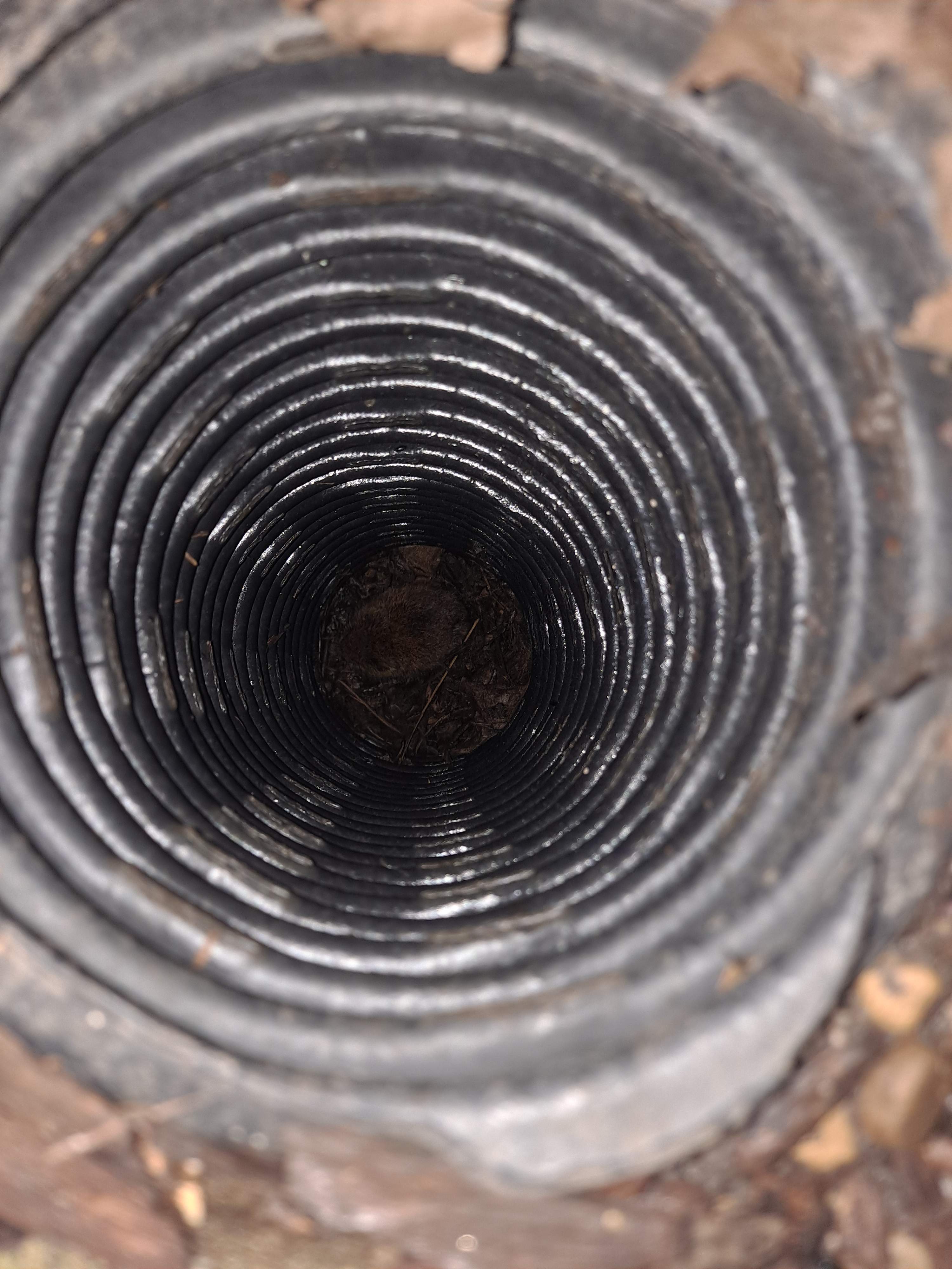 Window Well Drain Cleanout by Allied Water Services