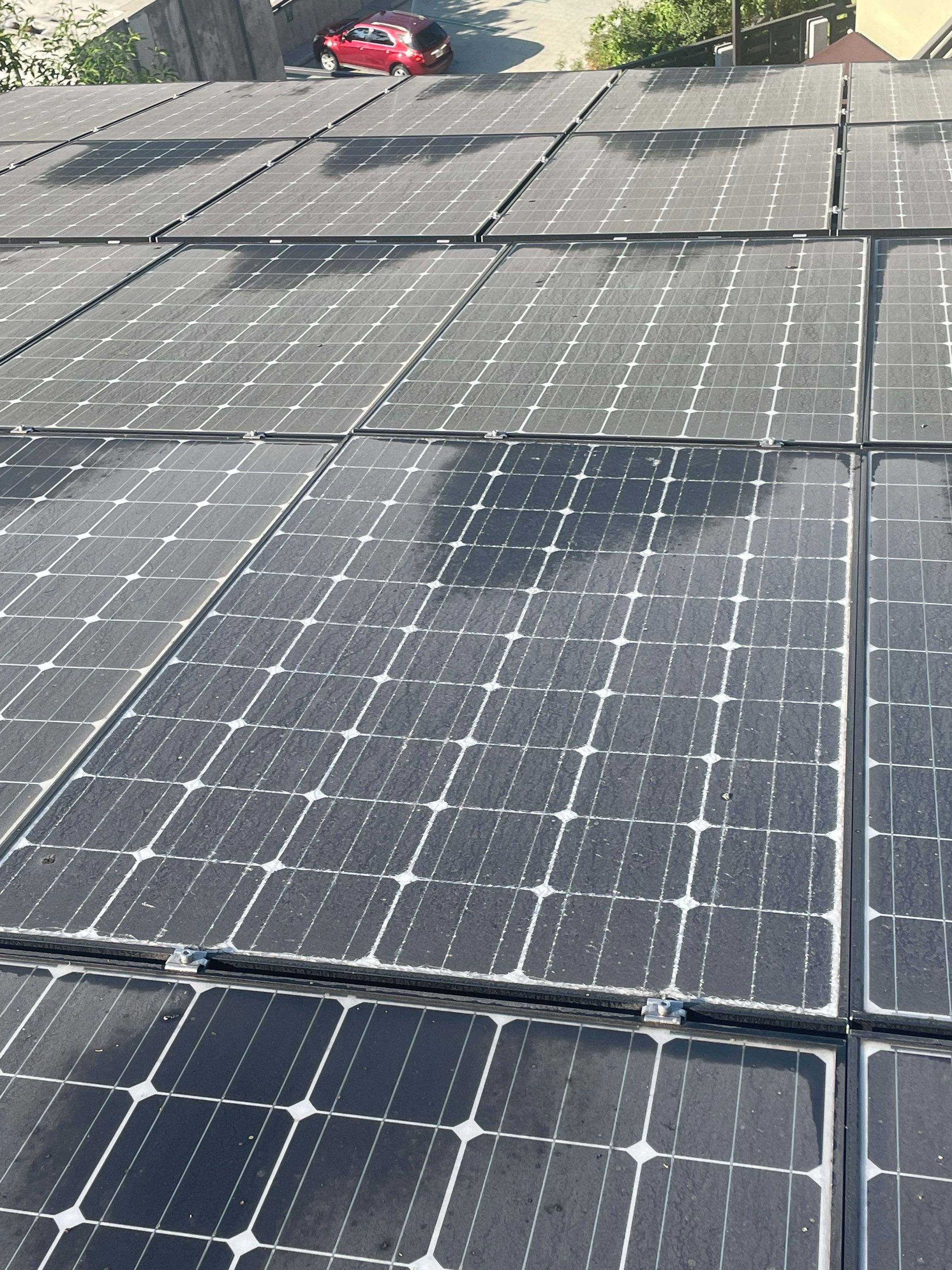 Commercial Solar Panel Cleaning for Chandler School in Pasadena Ca by Palm Coast Solar Cleaning
