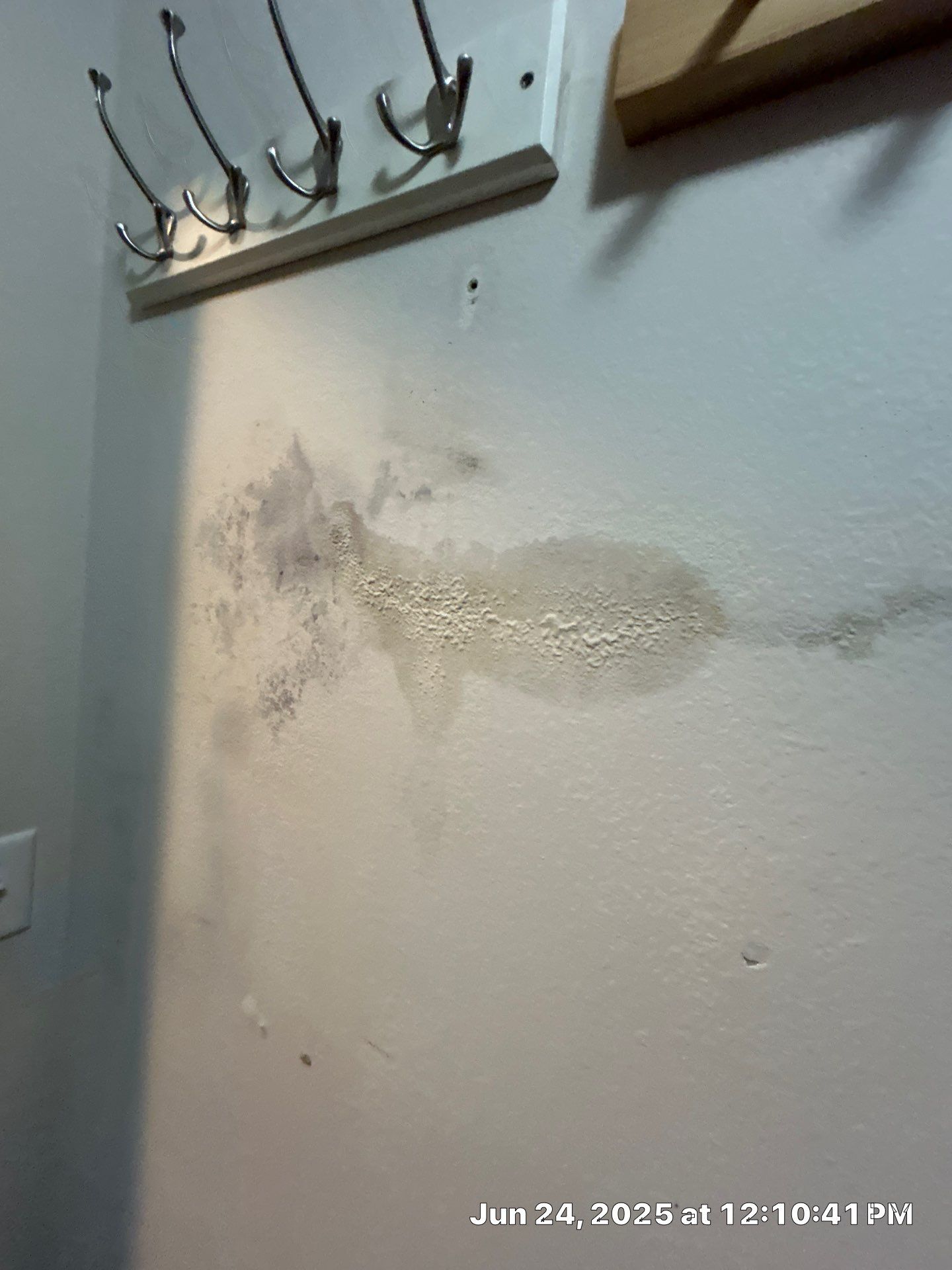 Water Damage Restoration In Sarasota by Ampm Restoration Services