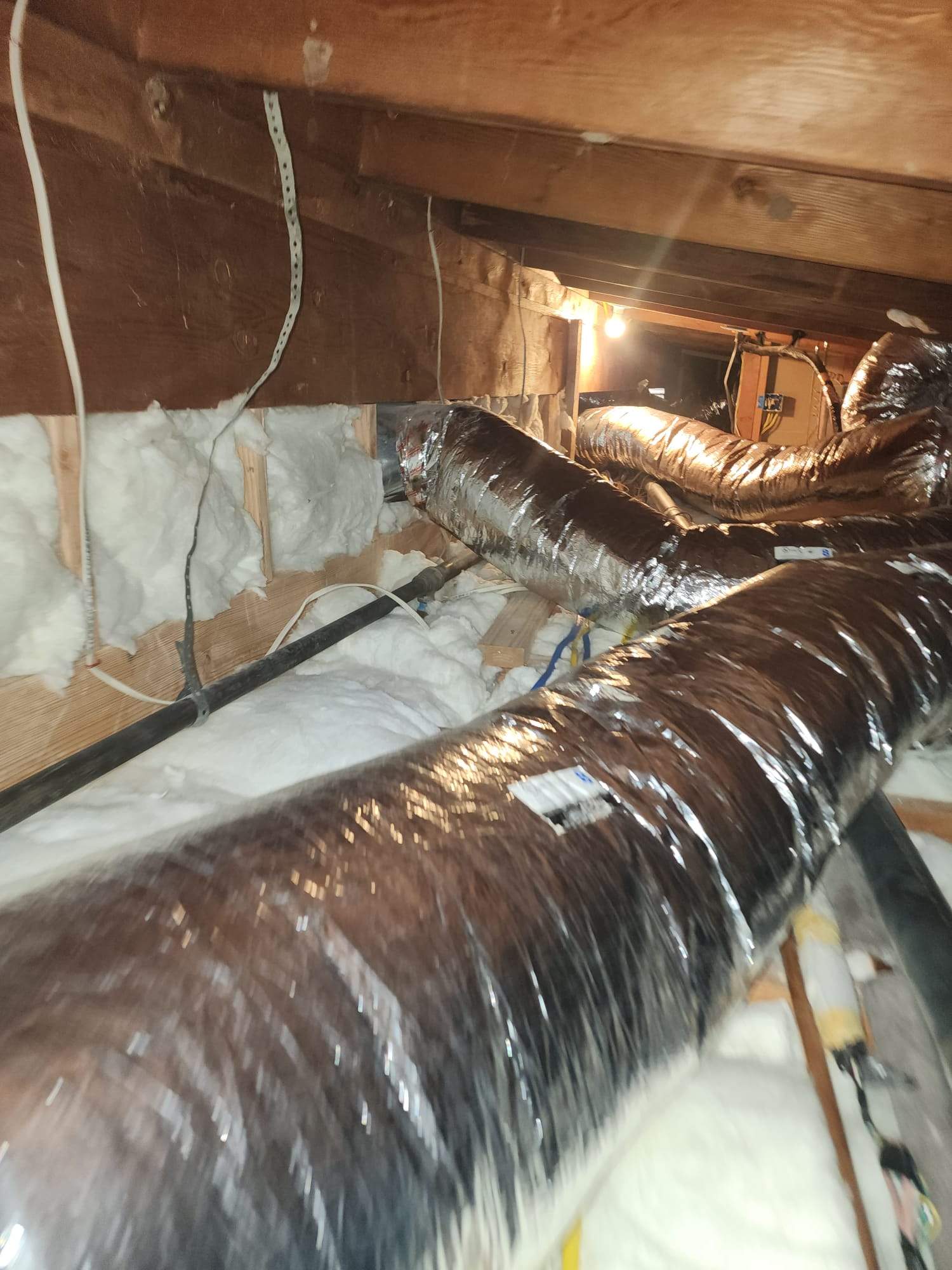 Project in Los Angeles by Advanced Attic Solutions