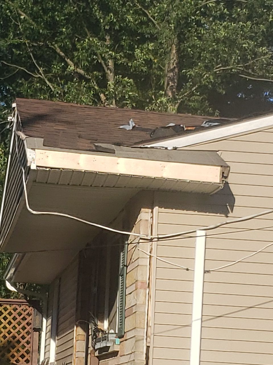 ATLAS PINNACLE COLOR: COPPER CANYON DRIP EDGE: MUSKET BROWN by Eagle Eye Roofing