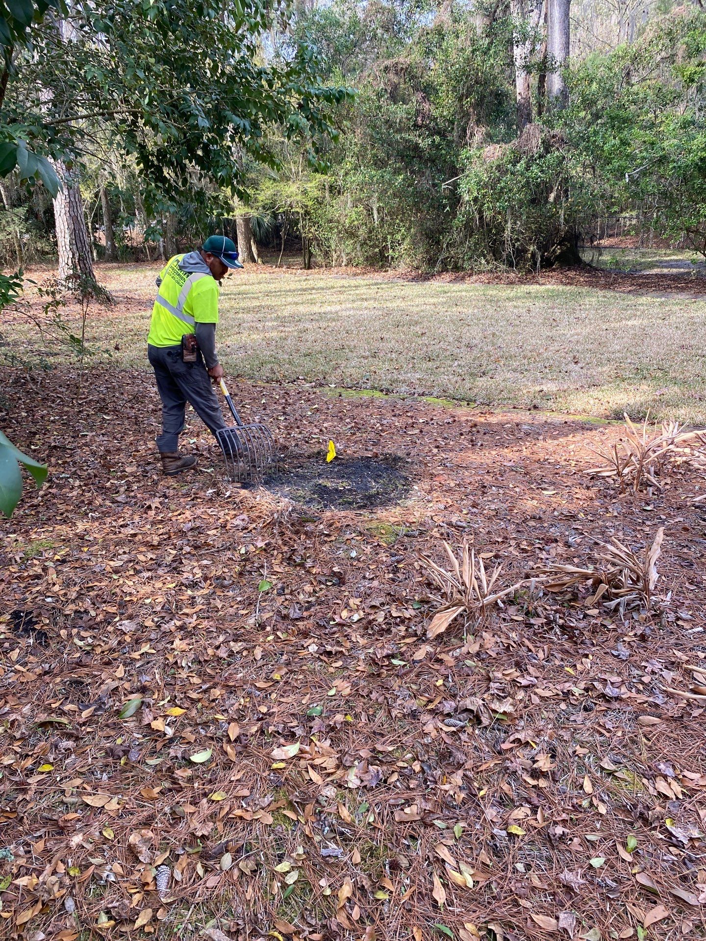 Deerwood Resident | Tree Install by ProGreen Services