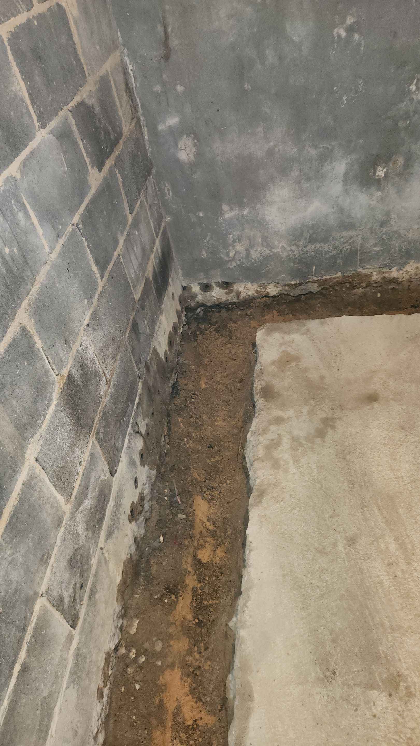Interior French Drain South Amboy, NJ by Pure Service Pro, LLC 