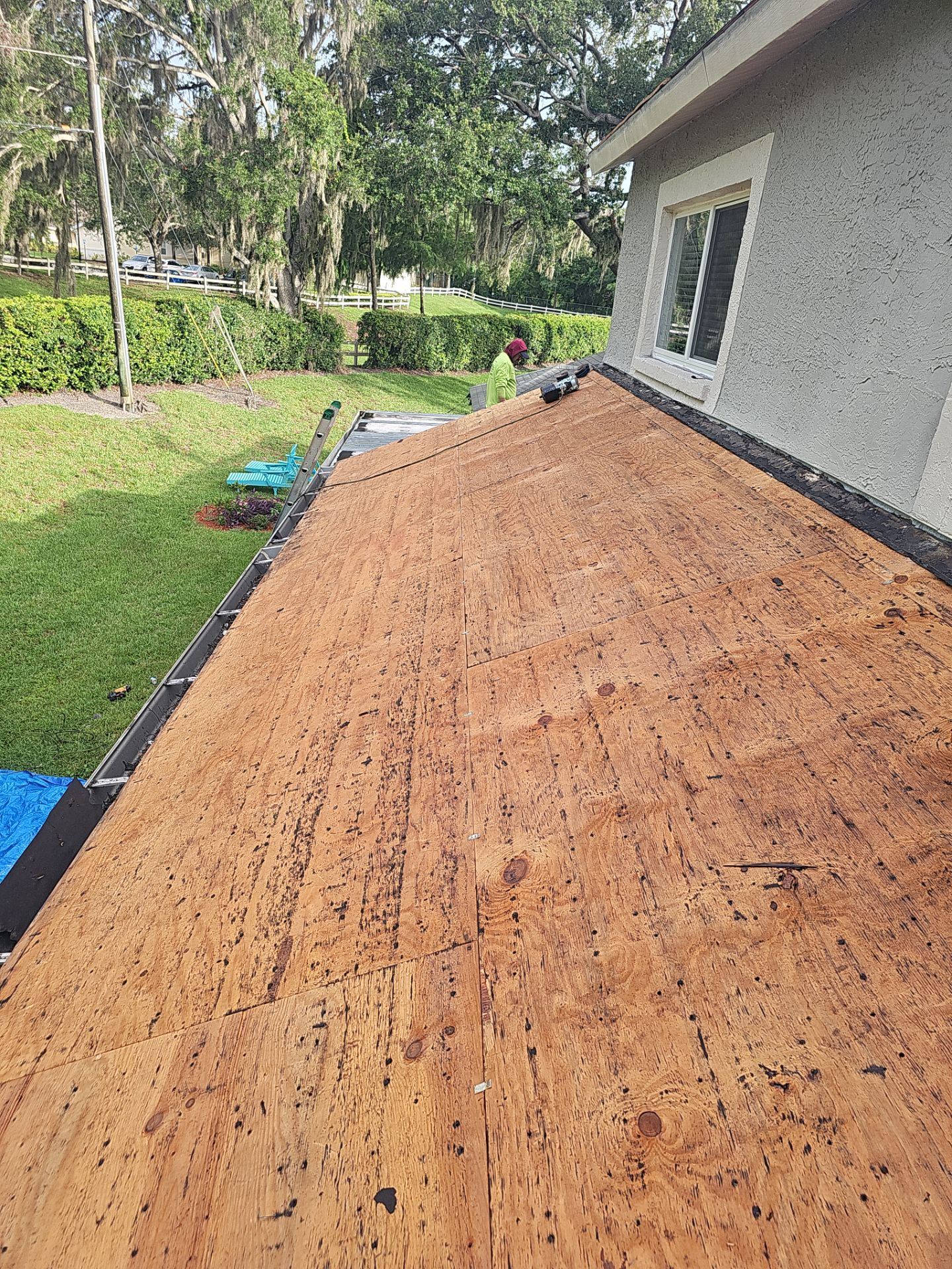 Project in Palm Harbor 34684 by Mitchell Roofing Company LLC 