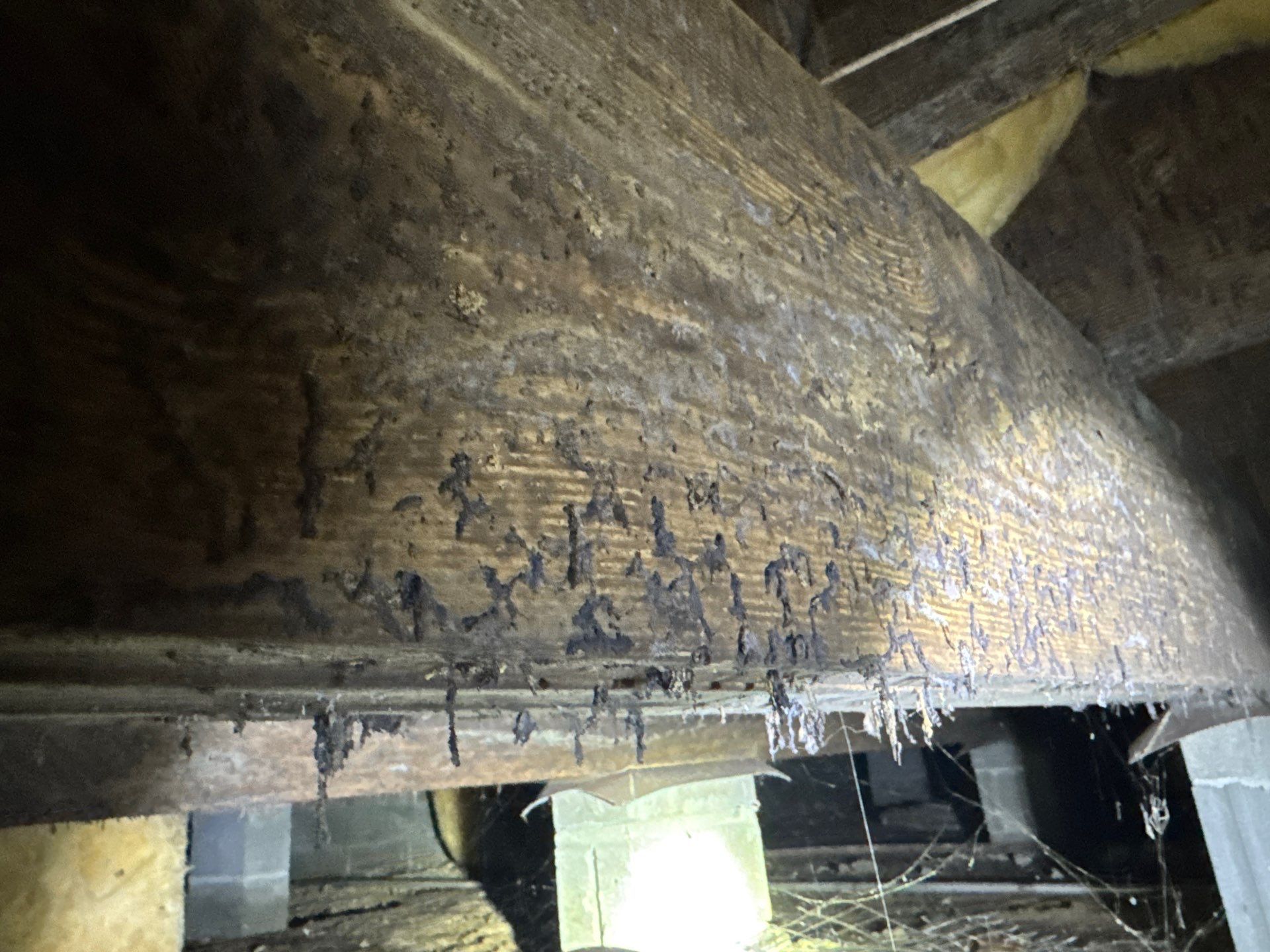 Project in Franklin by Patriot Crawl Space Repairs