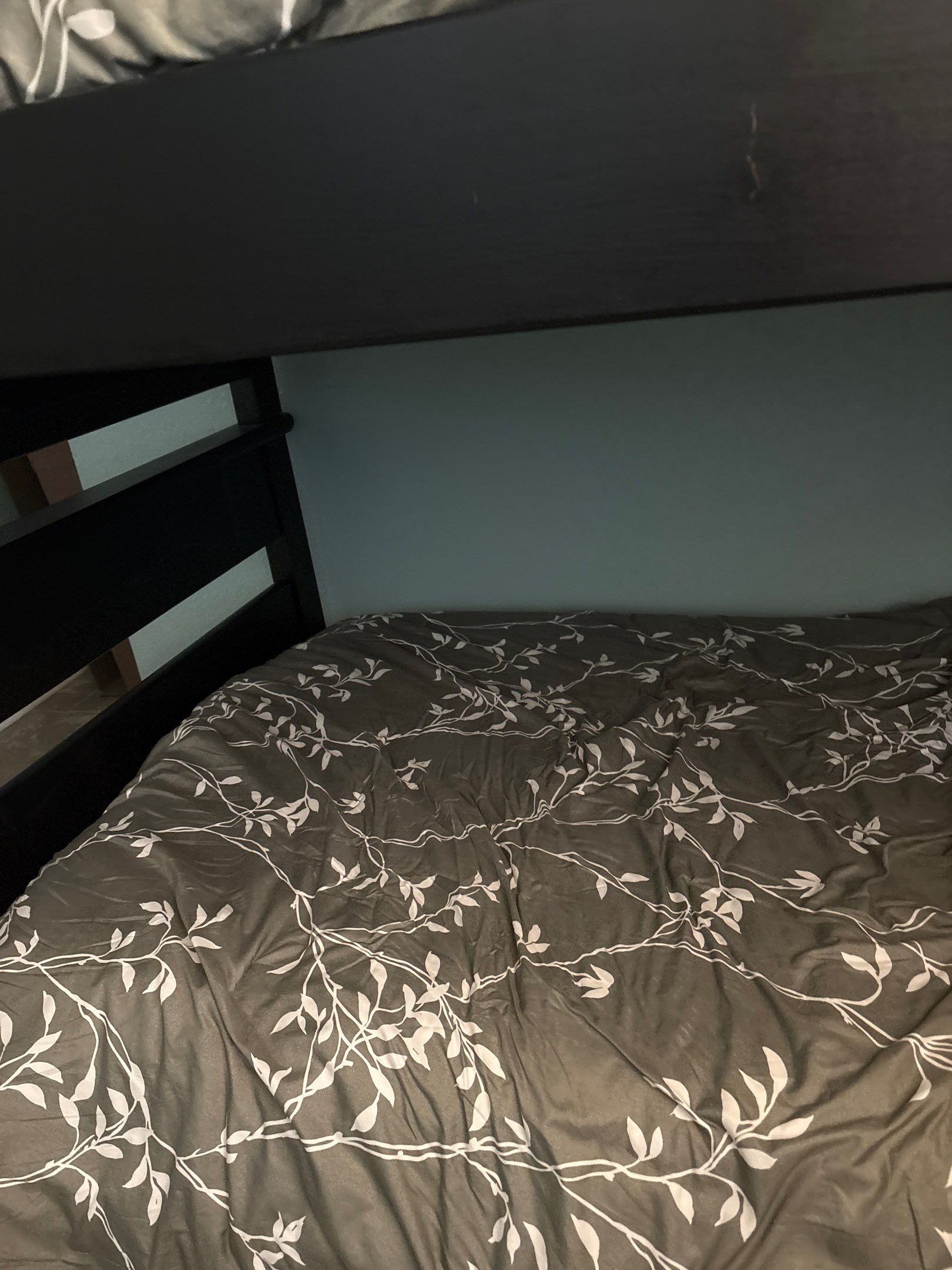 Jones Interior Paint by CompanyCam Sales Demo