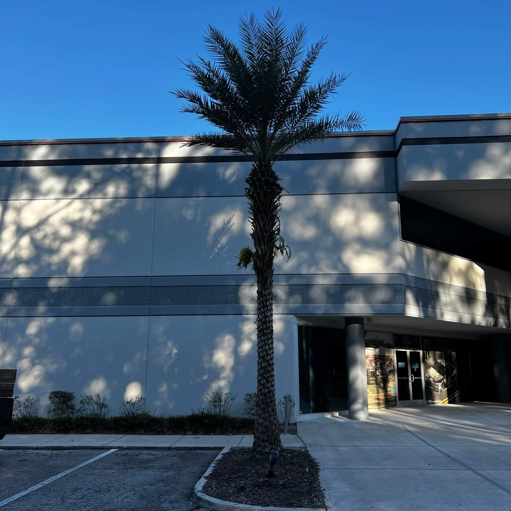 Tree Trimming | Autobahn Raceway by ProGreen Services