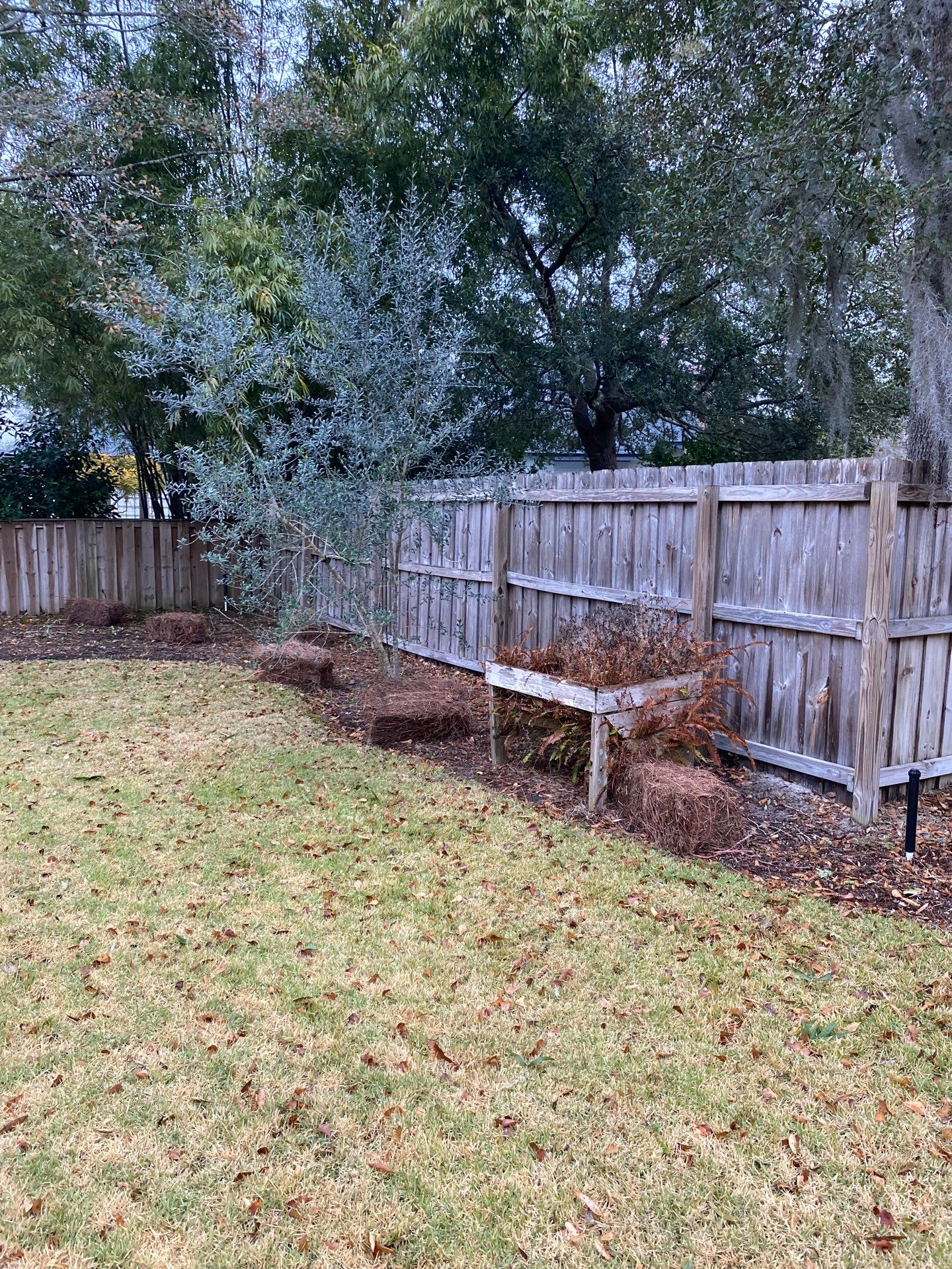 Deerwood Resident | Pine Straw Install by ProGreen Services