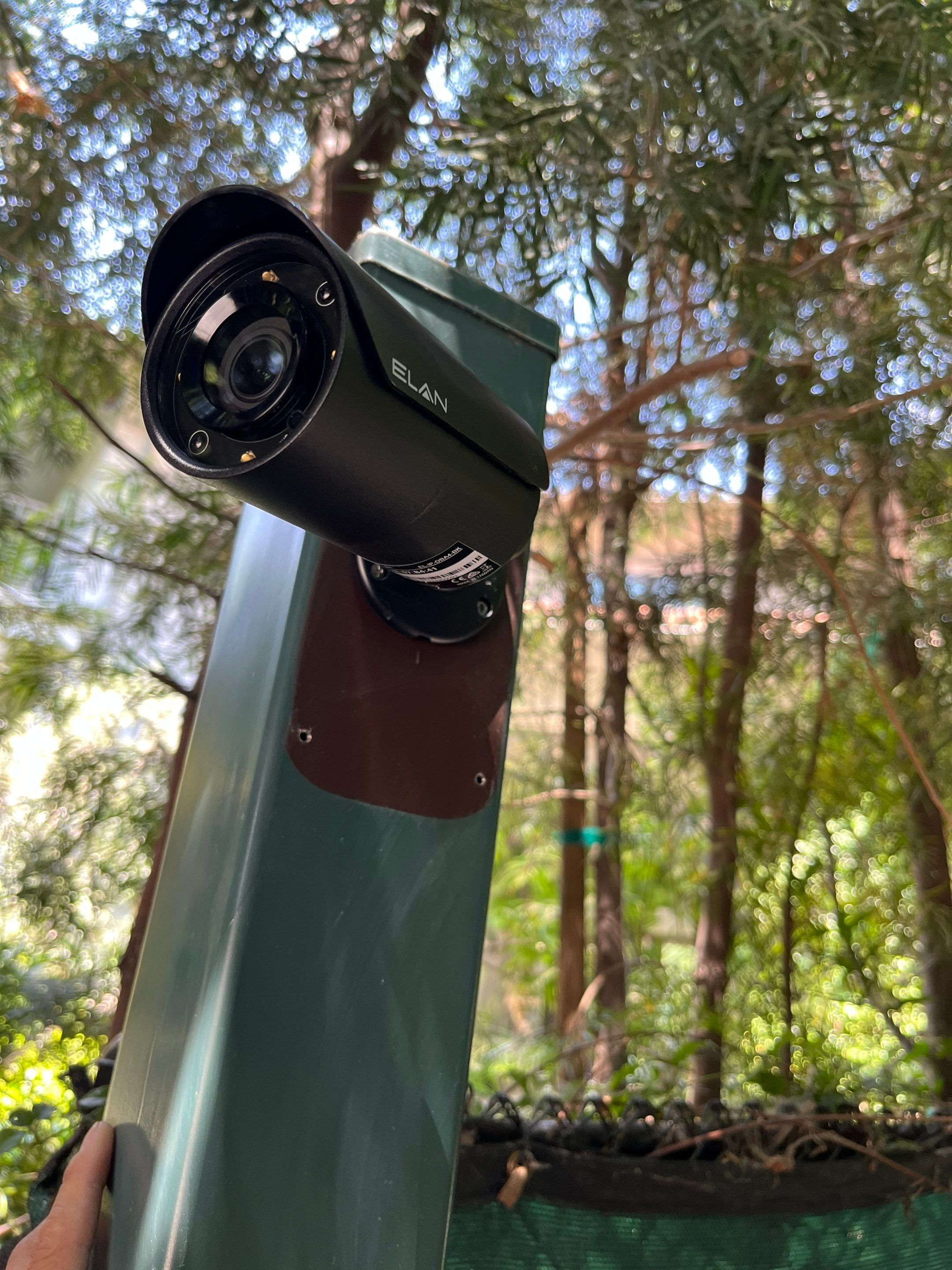 Toluca Lake Outdoor Entertainment + Landscape Lighting by Outdoor Lights + Shades