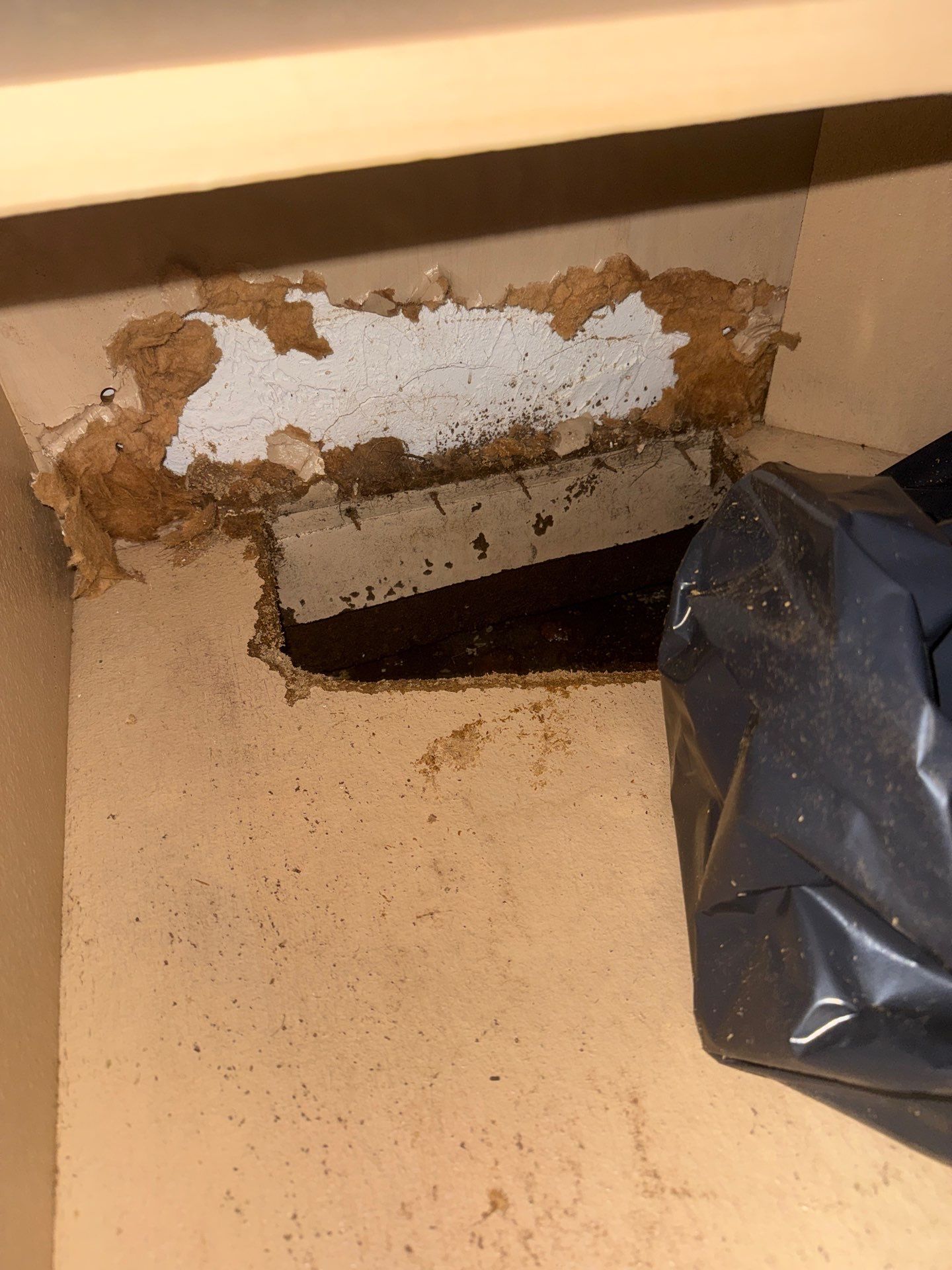 Project in St. Petersburg by Bay Coast Restoration 