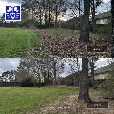 WINTER SERVICES: FULL LEAF JOB