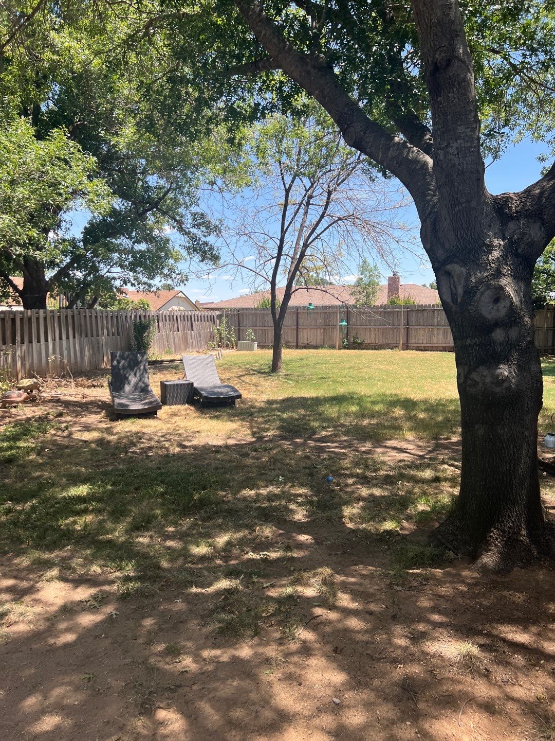 Tree Removals by Clays Services Inc