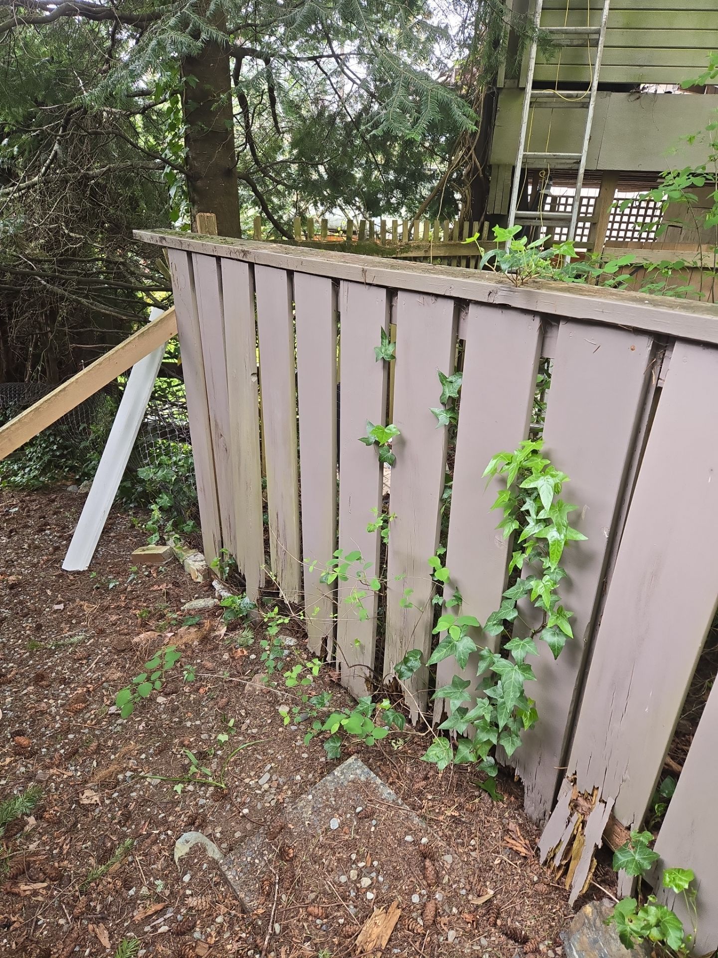 Rotten Fence Replacement – Seamless Integration with Existing Landscape by Habanero Garden and Exterior Care