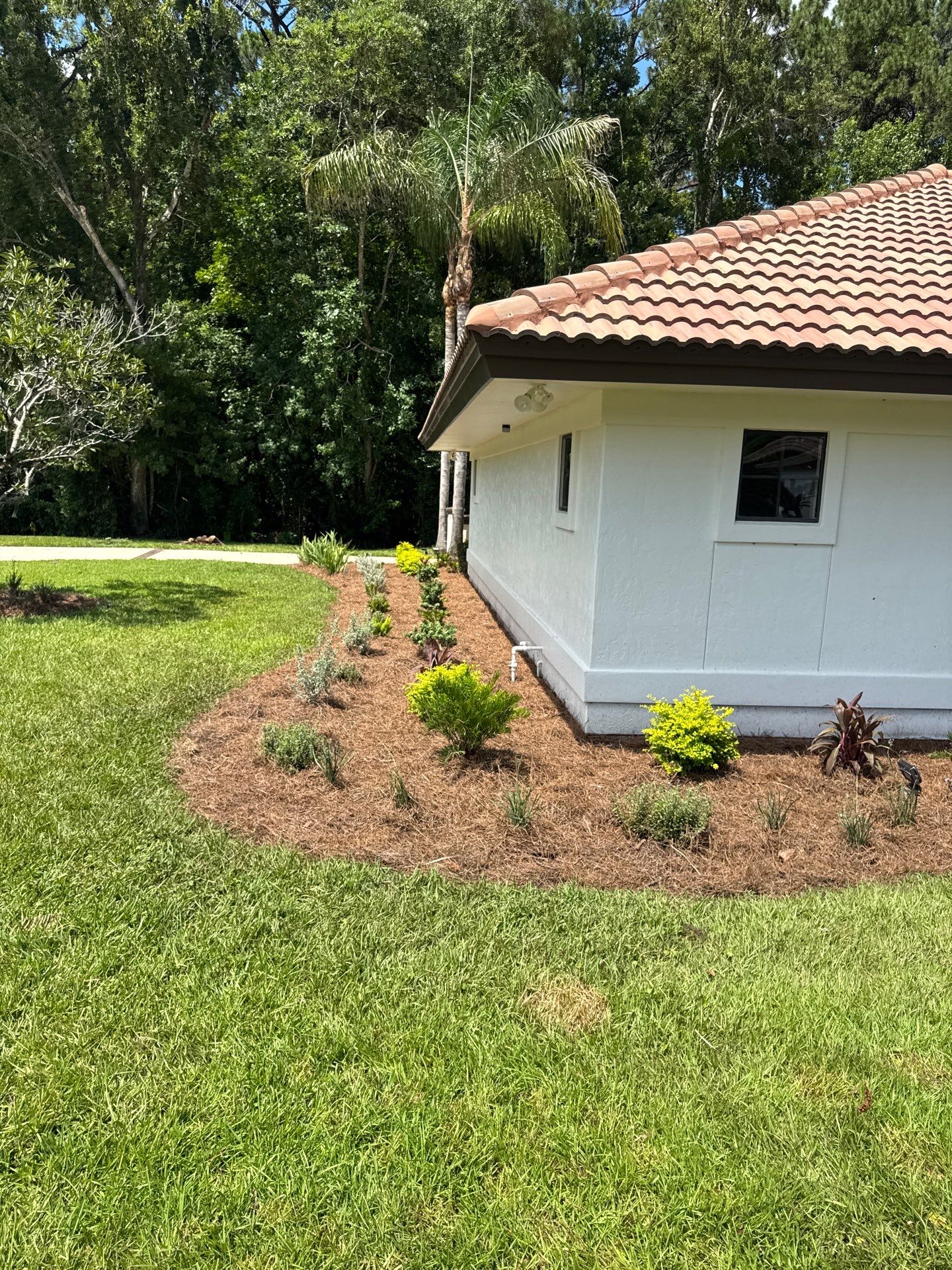 Deerwood Resident | Bed Design & Upgrade by ProGreen Services