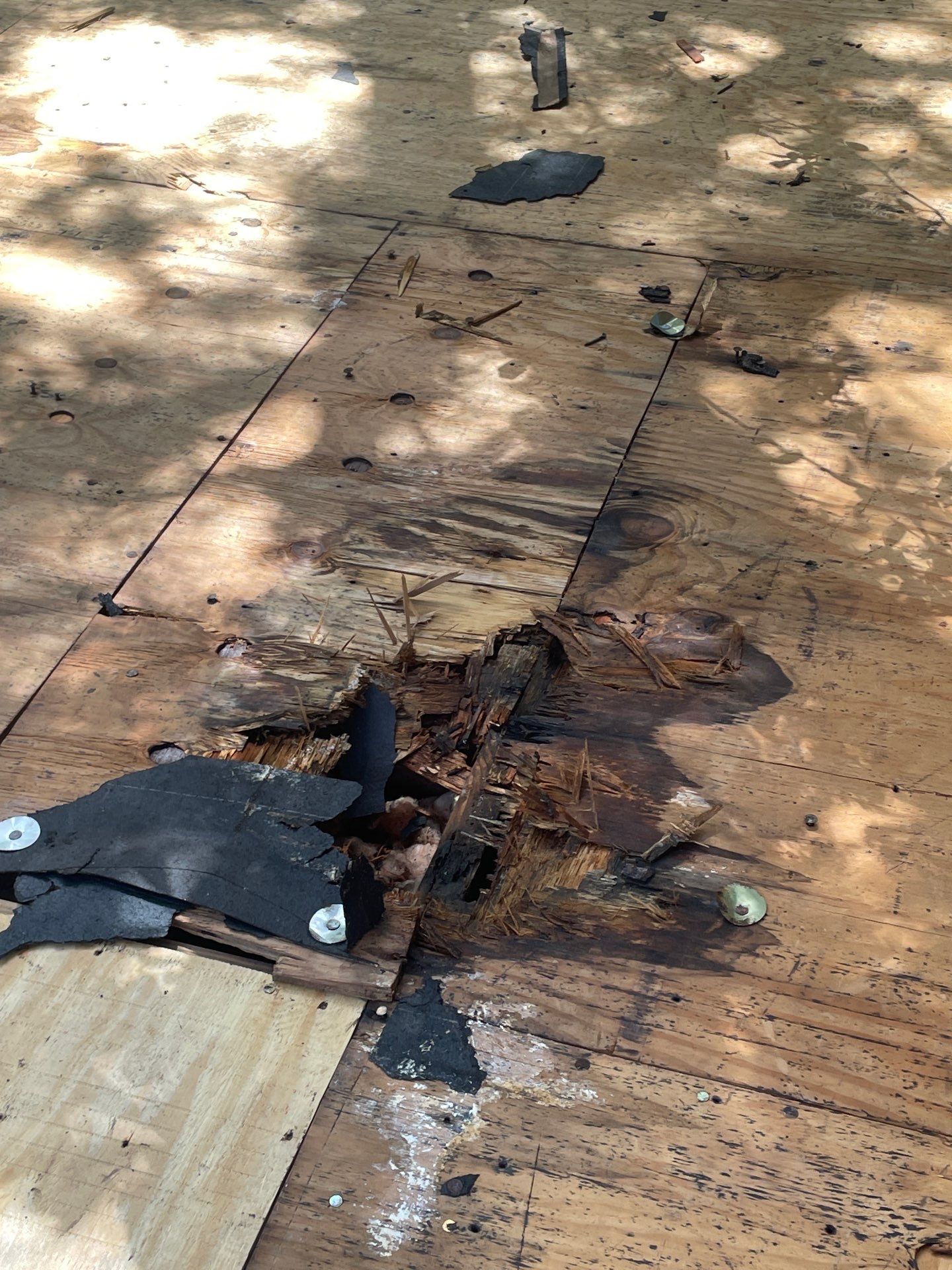 Roof Replacement Humble by Roof Repair Services LLC