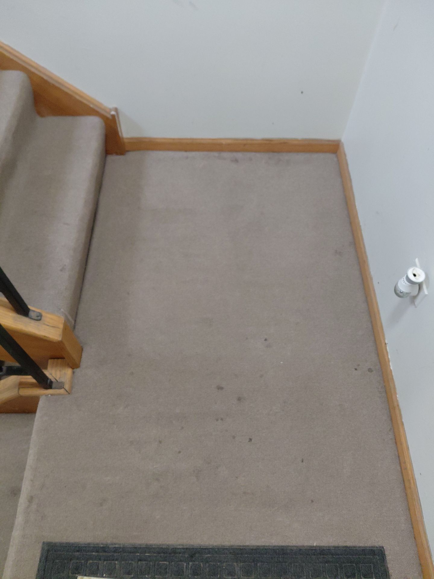 Project in Chicago by Xo Clean Services 