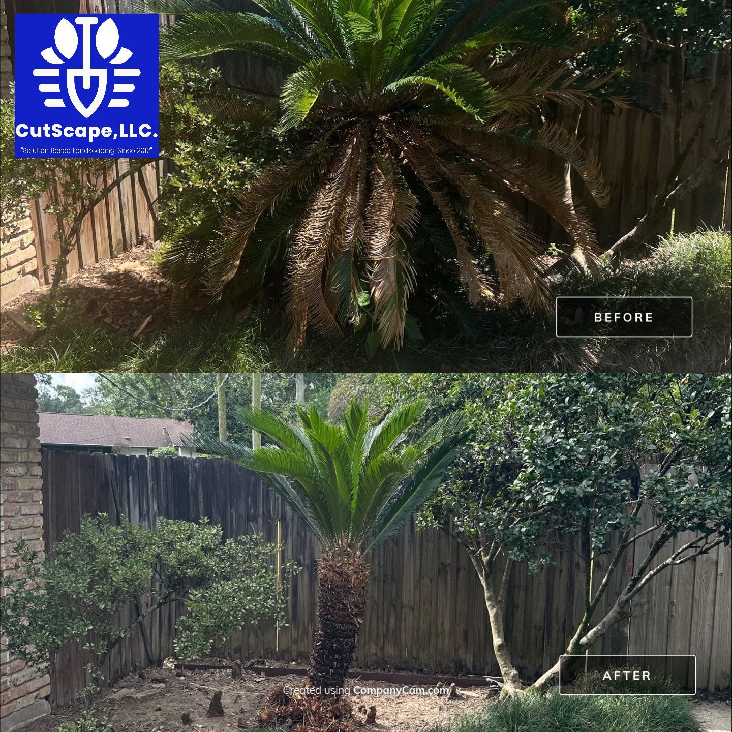 HERBICIDE / CLEAN OUT / TRIM / BRUSH DEBRIS REMOVAL using BRUSH REMOVAL / PROPERTY CLEAN UP LABOR by CutScape, LLC.