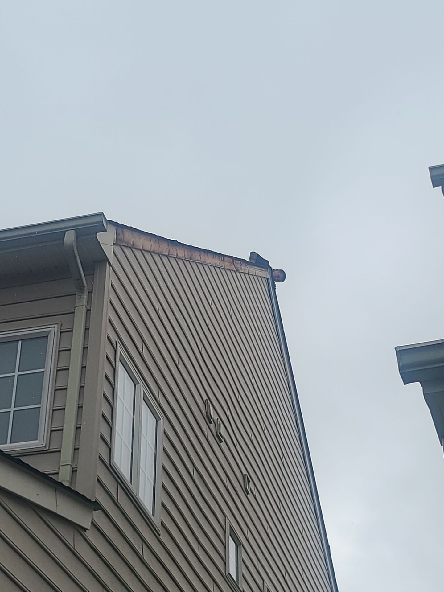 Alexandria: Residential Roof Replacement with CertainTeed Landmark Pro in Max Def Charcoal Black by RM Banning, Inc.