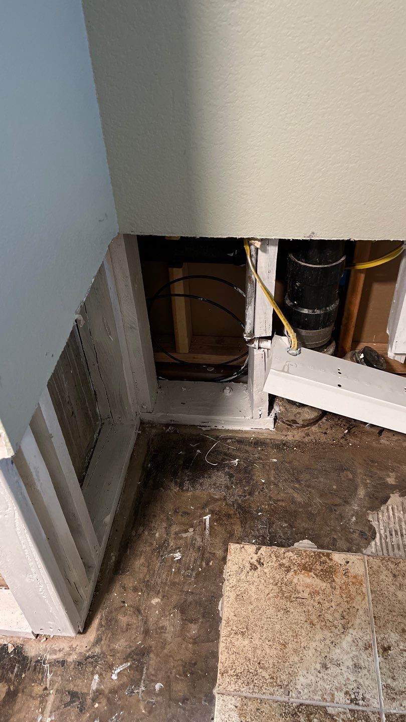 Water Damage and Mold Remediation by Accountable Home Services