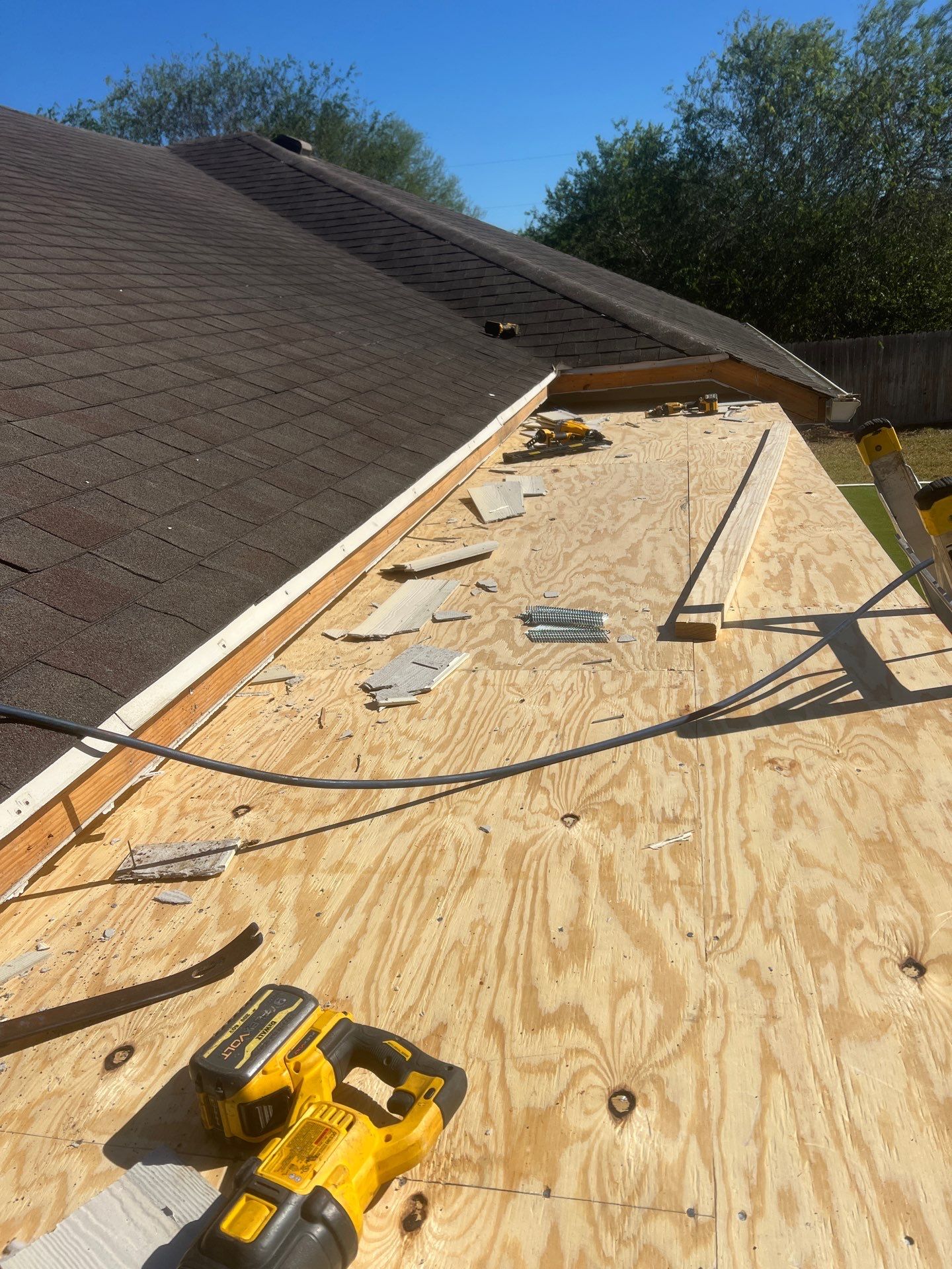 It Ain't Easy getting Shady  by Bayfront Roofing and Construction