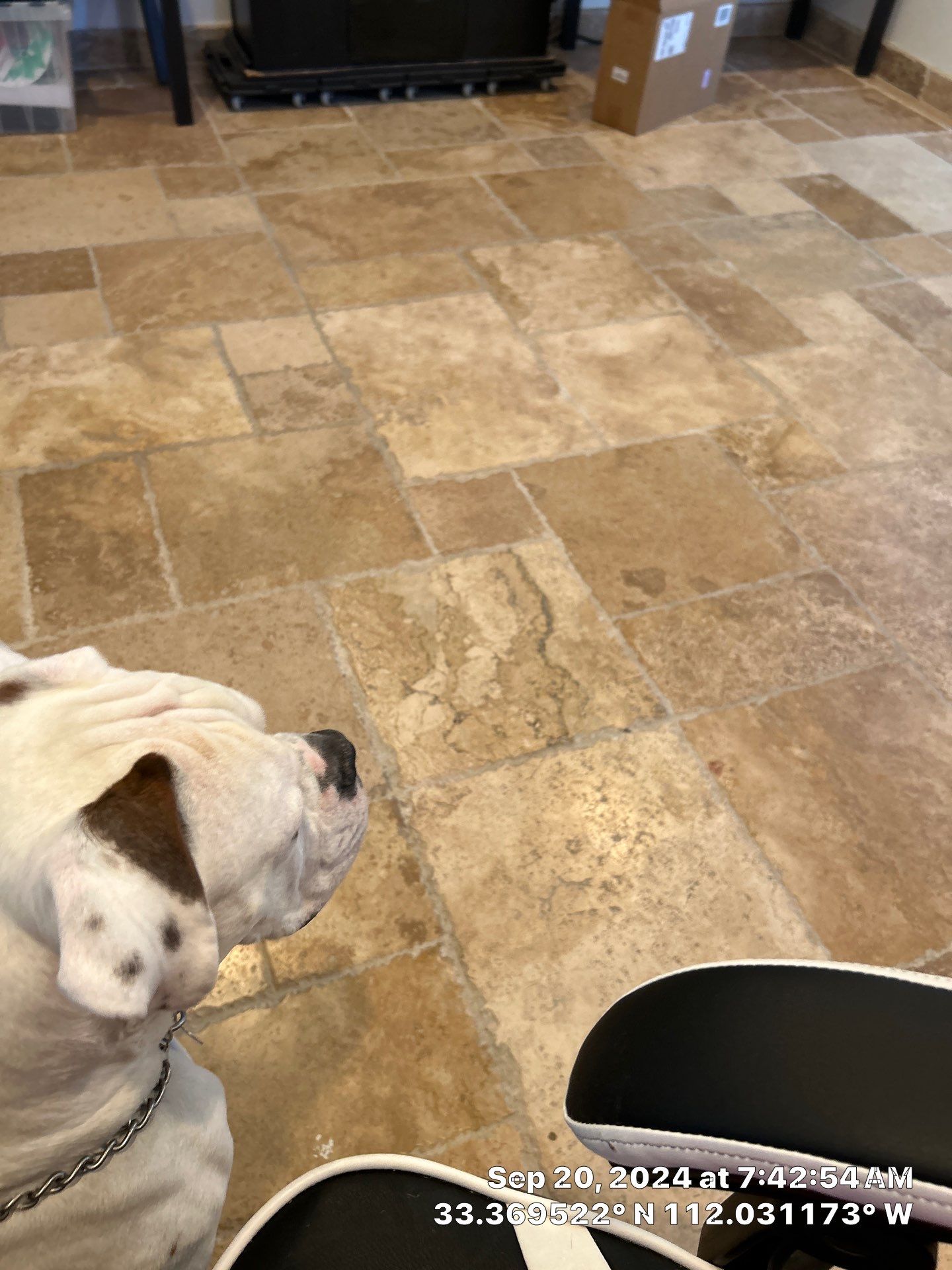 2-Day remodel, record time  by CompanyCam Sales Demo