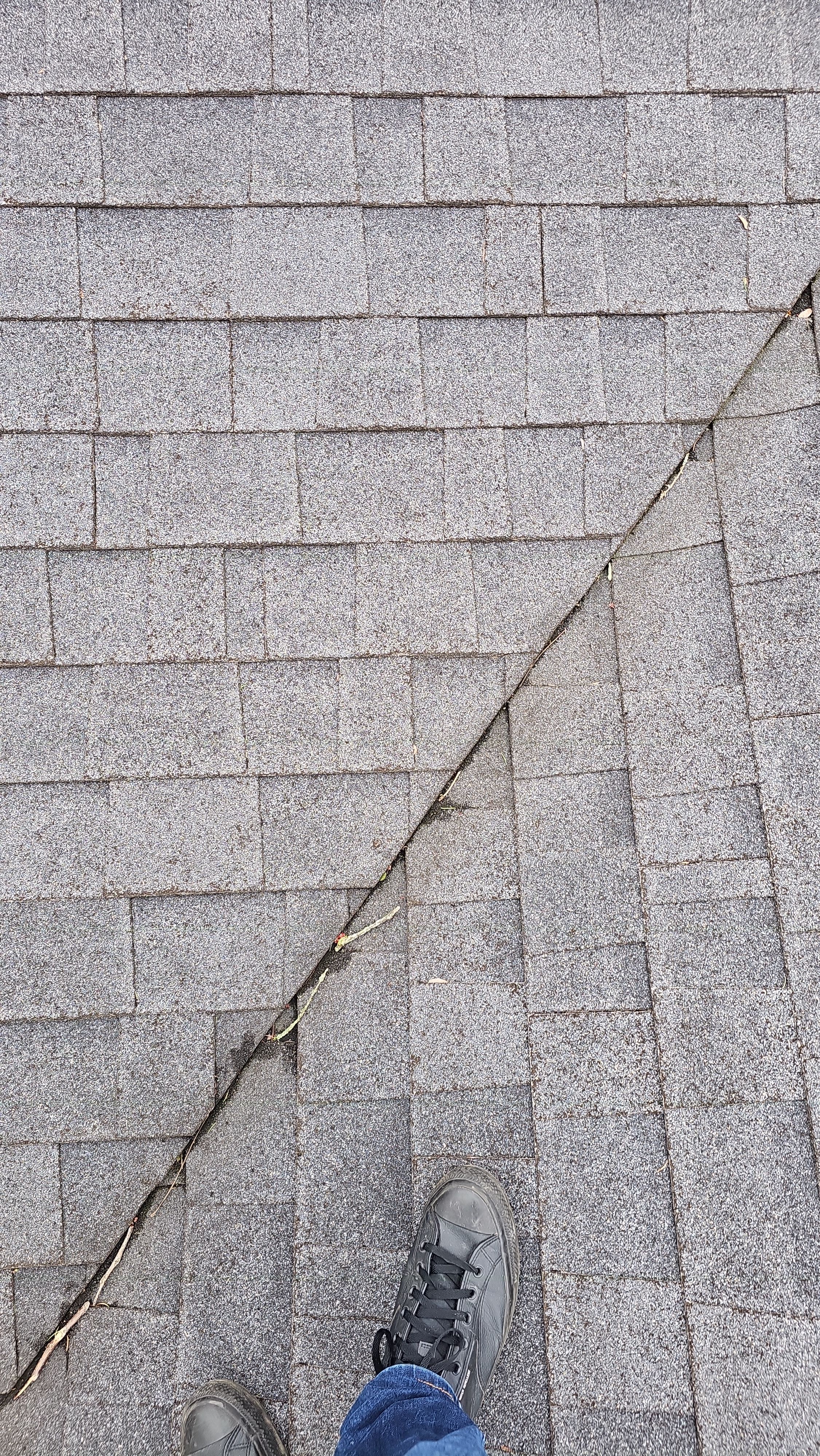 Sarah S: Atlas Pinnacle, Color, Pewter, Drip Edge, Color, White by Eagle Eye Roofing