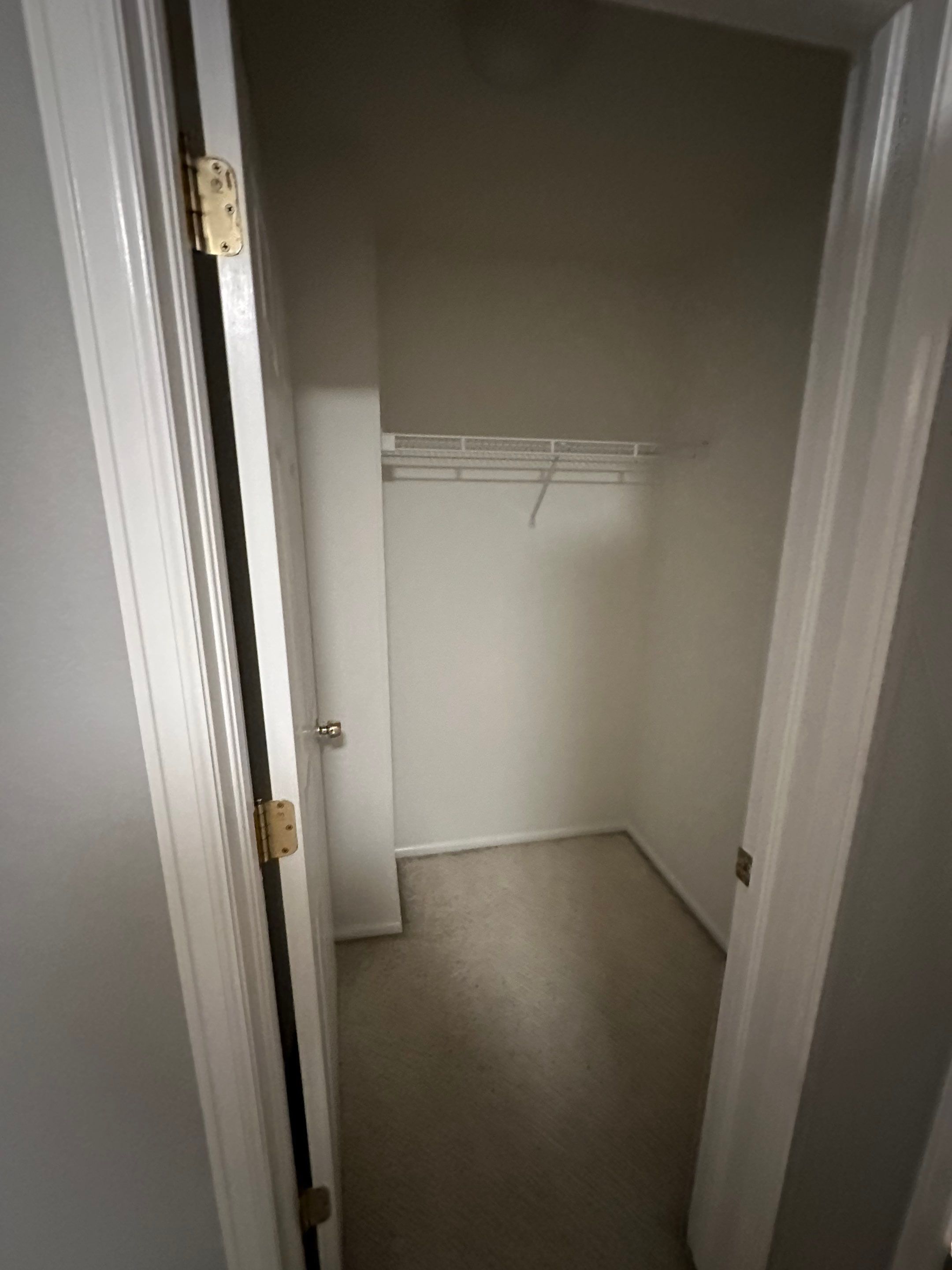 Water Damage in Highlands Ranch by Alpha Restoration 