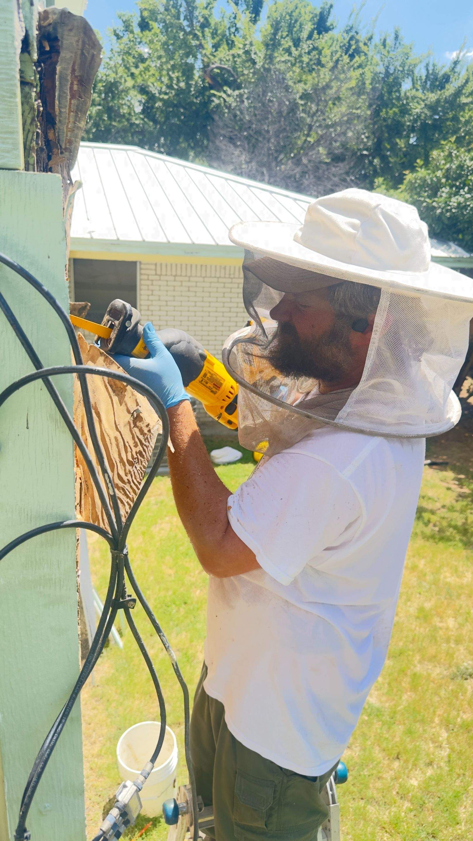 Walled in by Rockwall Honey Bee Company