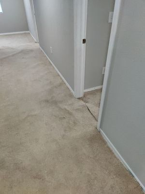 Project in Littleton