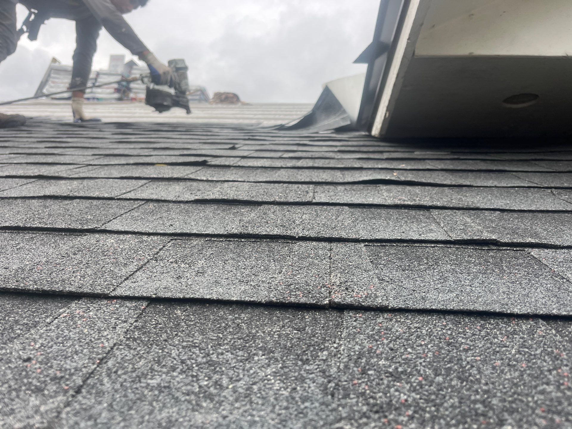 GAF Charcoal Architectural Shingle - Re-roof by Endless Summer Roofing Co.