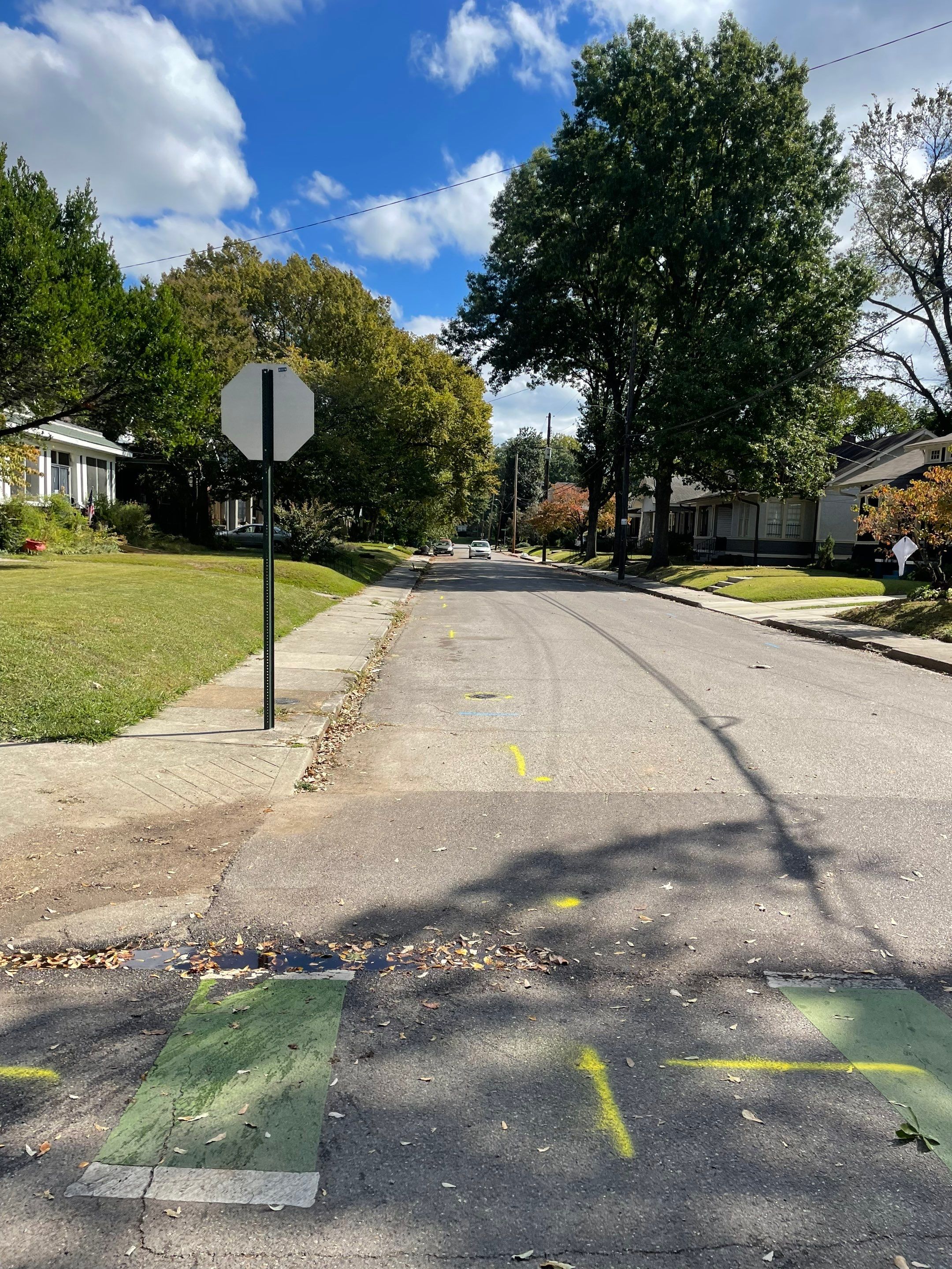 Utility Locate for Survey Purposes by Alsip Locating Service, LLC