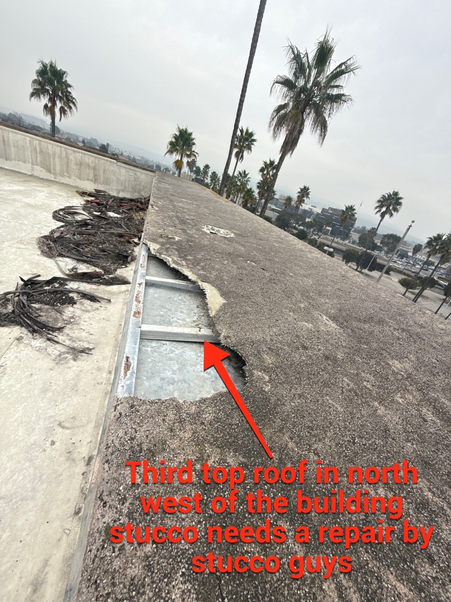 Project in Torrance, California by Sanchez Single Ply Roofing