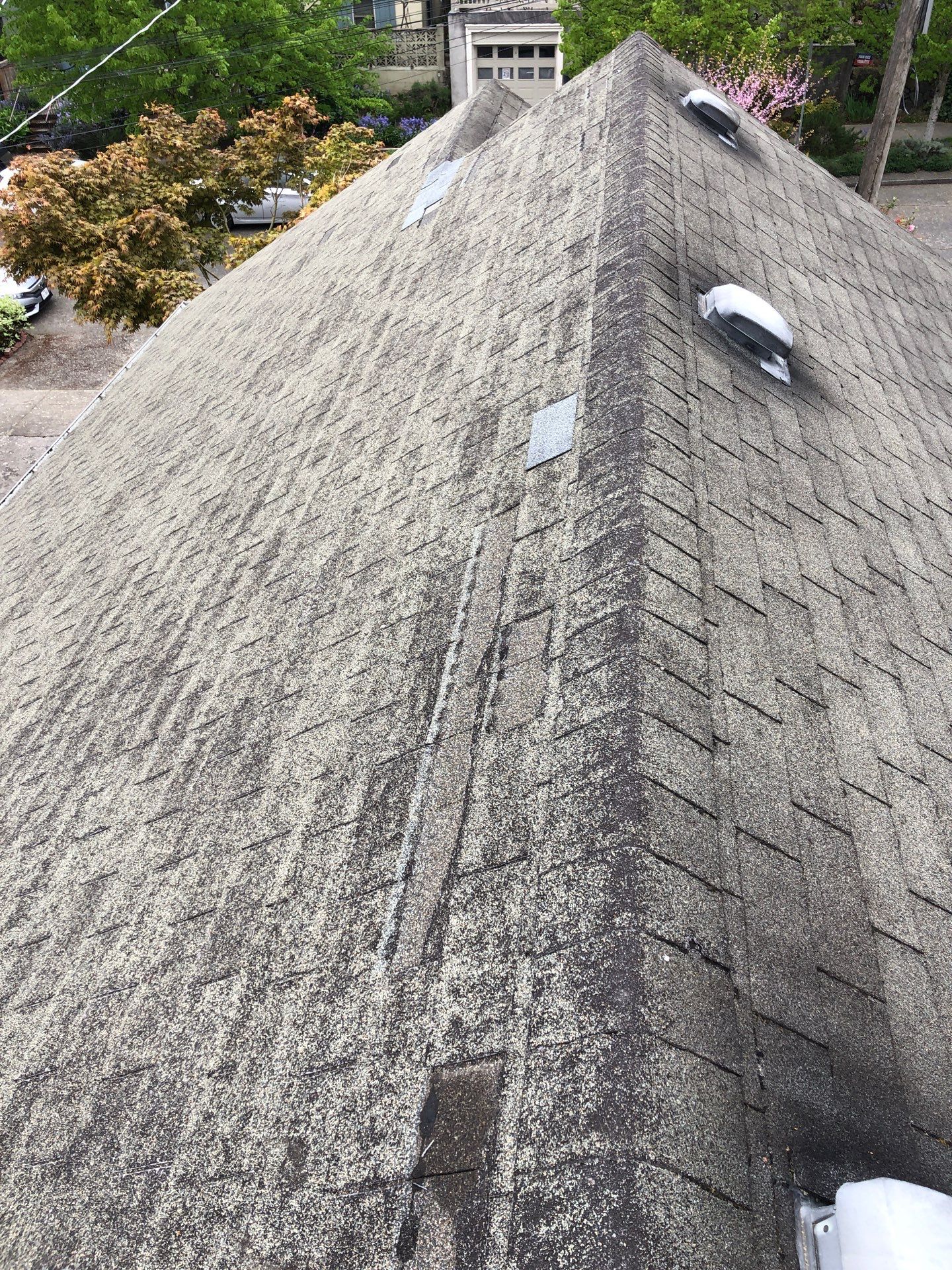 Project in Seattle by Peaks and Valleys Construction