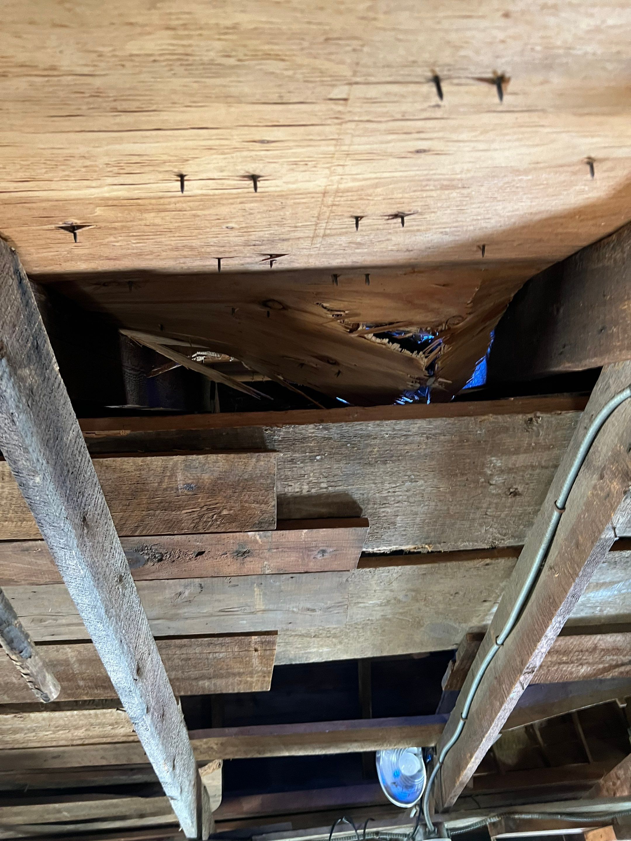 Just the beginning of a barn restoration in New Castle by Tall pine roofing