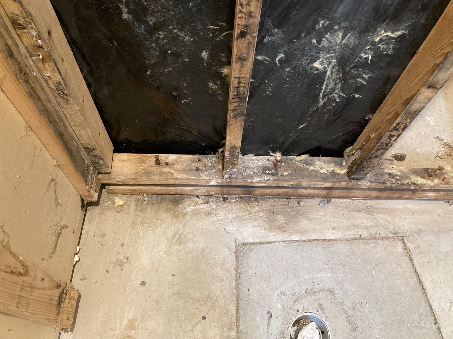 Mold Remediation by Accountable Home Services