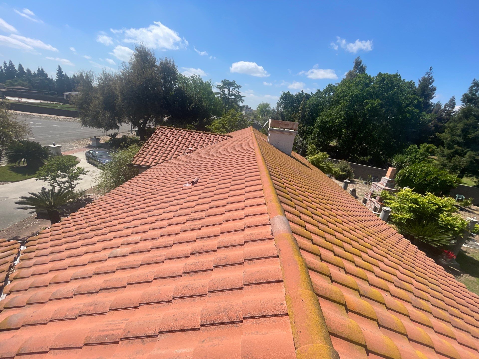 Presidential shingle roof by Straight Edge Roofing Inc