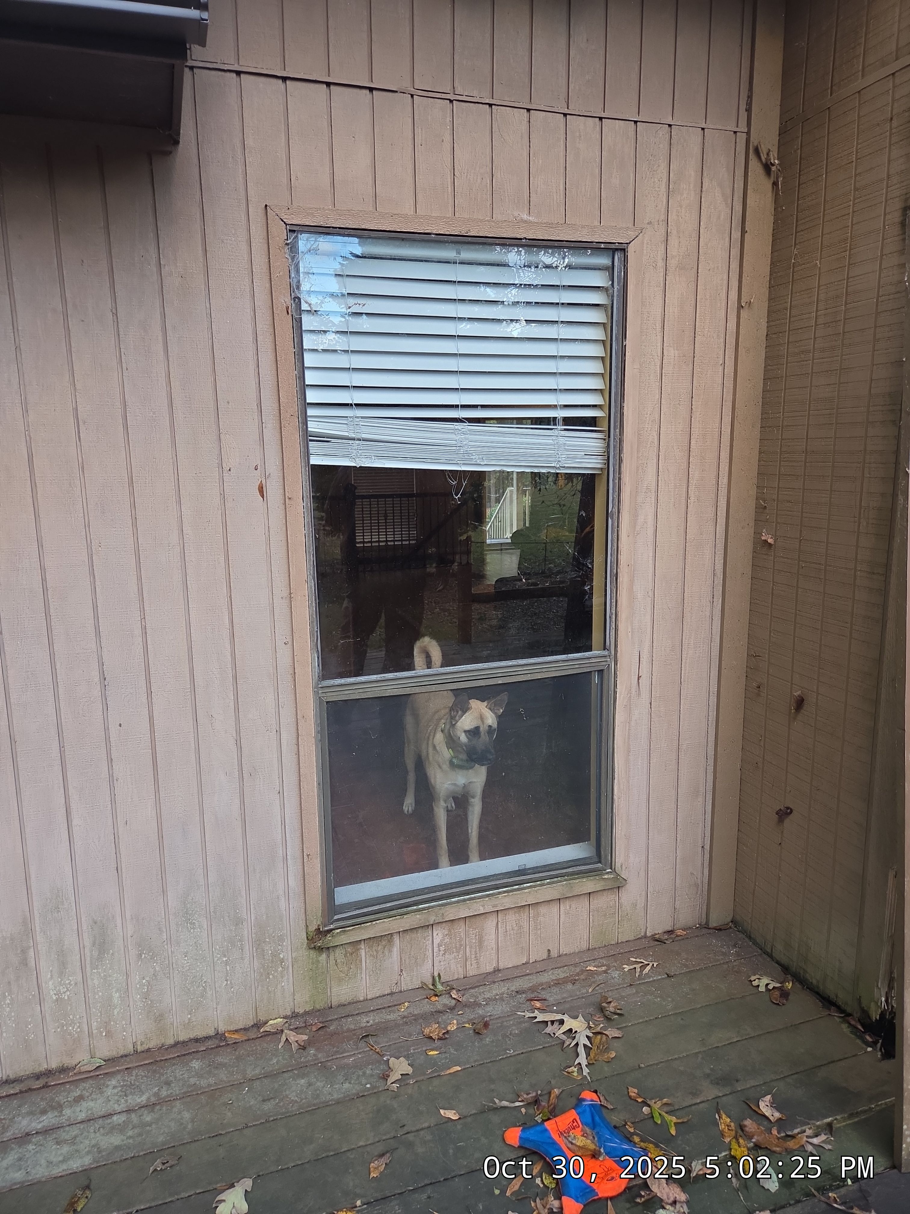 Buis Project in Pelham by The Window Source