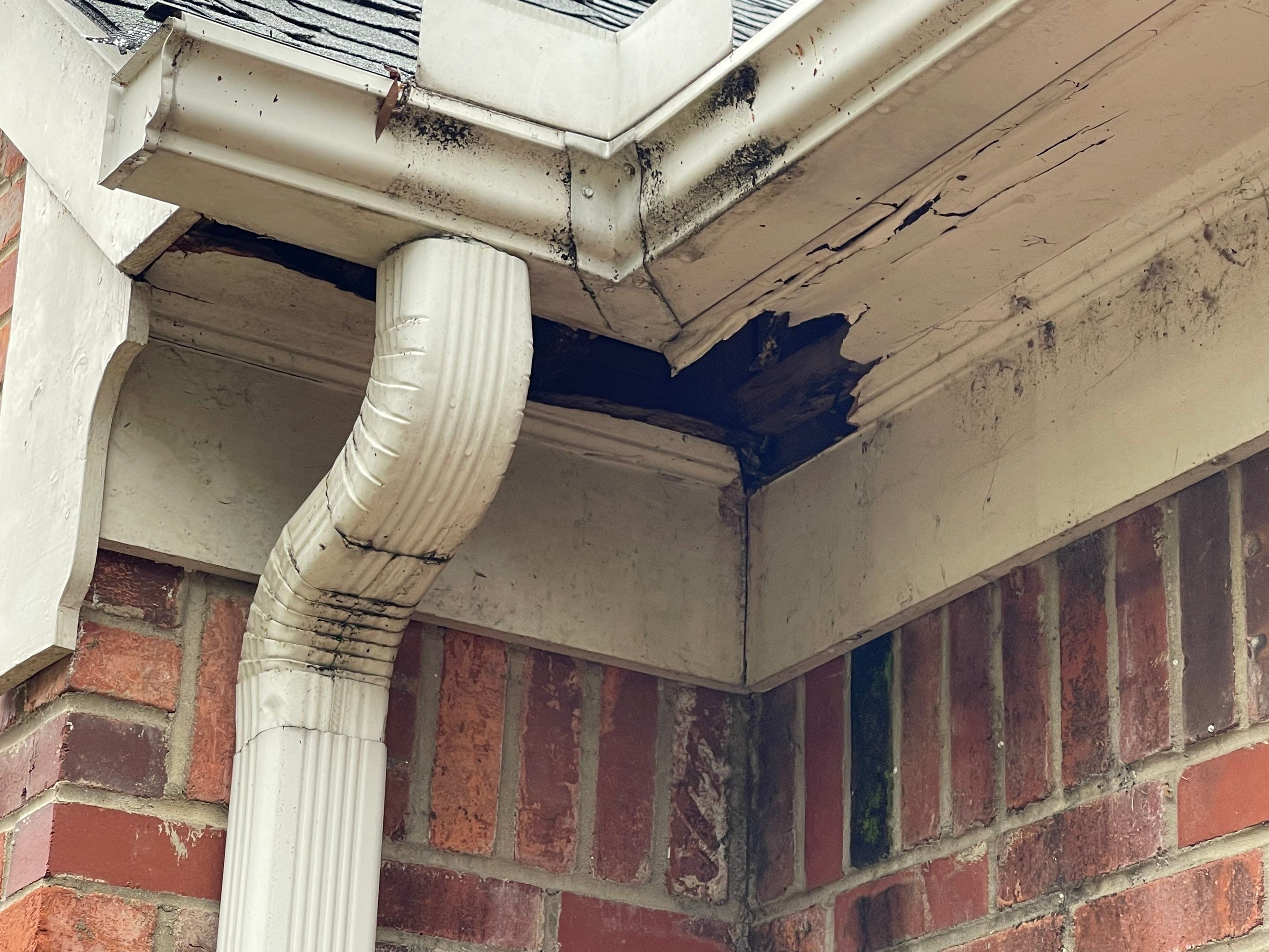 Full Roof Replacement with gutter upgrade after tree impact damage in East Memphis by Revival Roofing Services