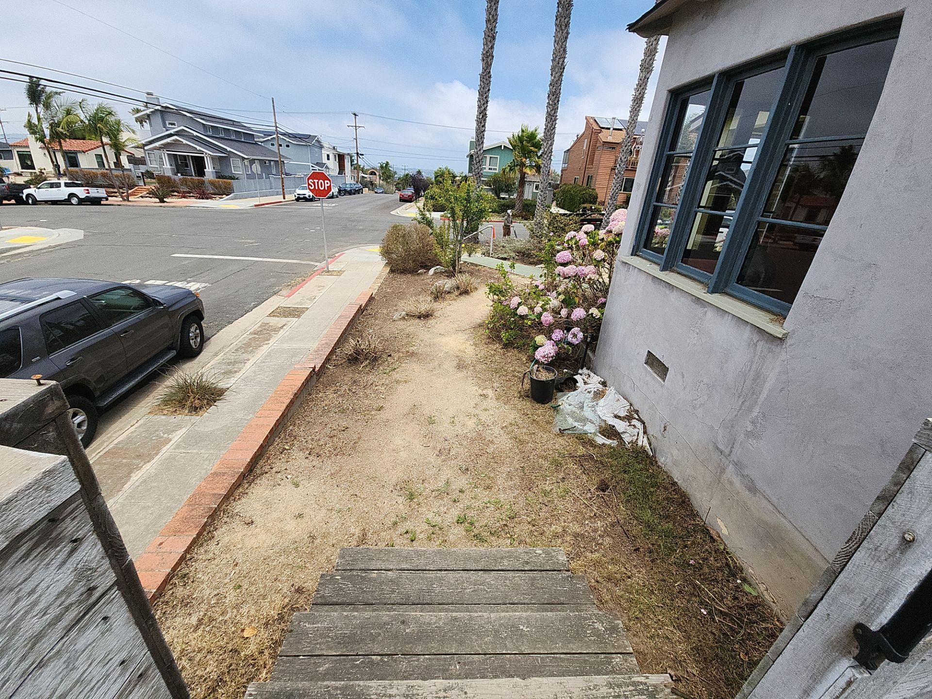 San Diego Landscape Clean Up by Yard Techs