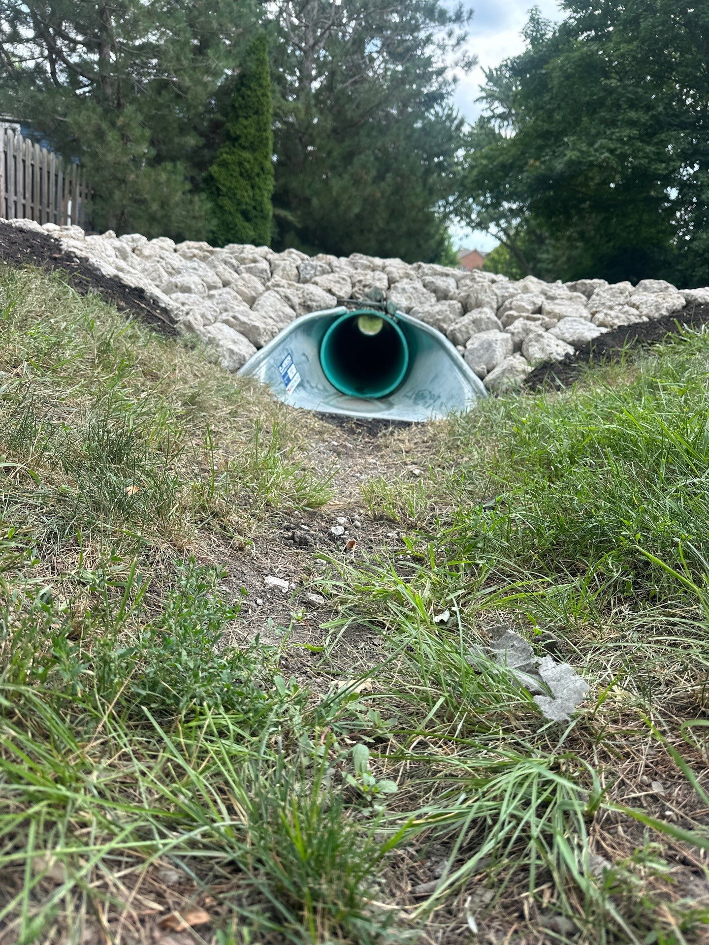 Ben O. - Mount Prospect, IL by A&N