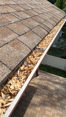 Turtle Shell gutter protection installation in Naperville, IL 60563, photograph 22