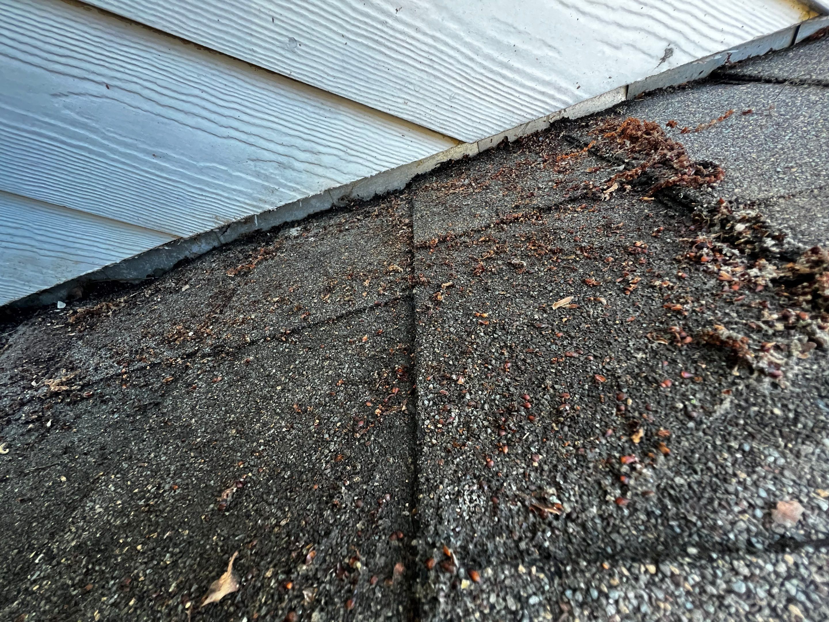 Roof Repair Houston by Roof Repair Services LLC