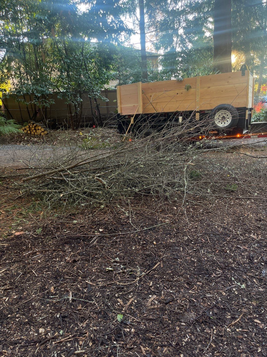 Tree Removal using Tree Removal by Mike Jones & Sons Tree Service LLC 