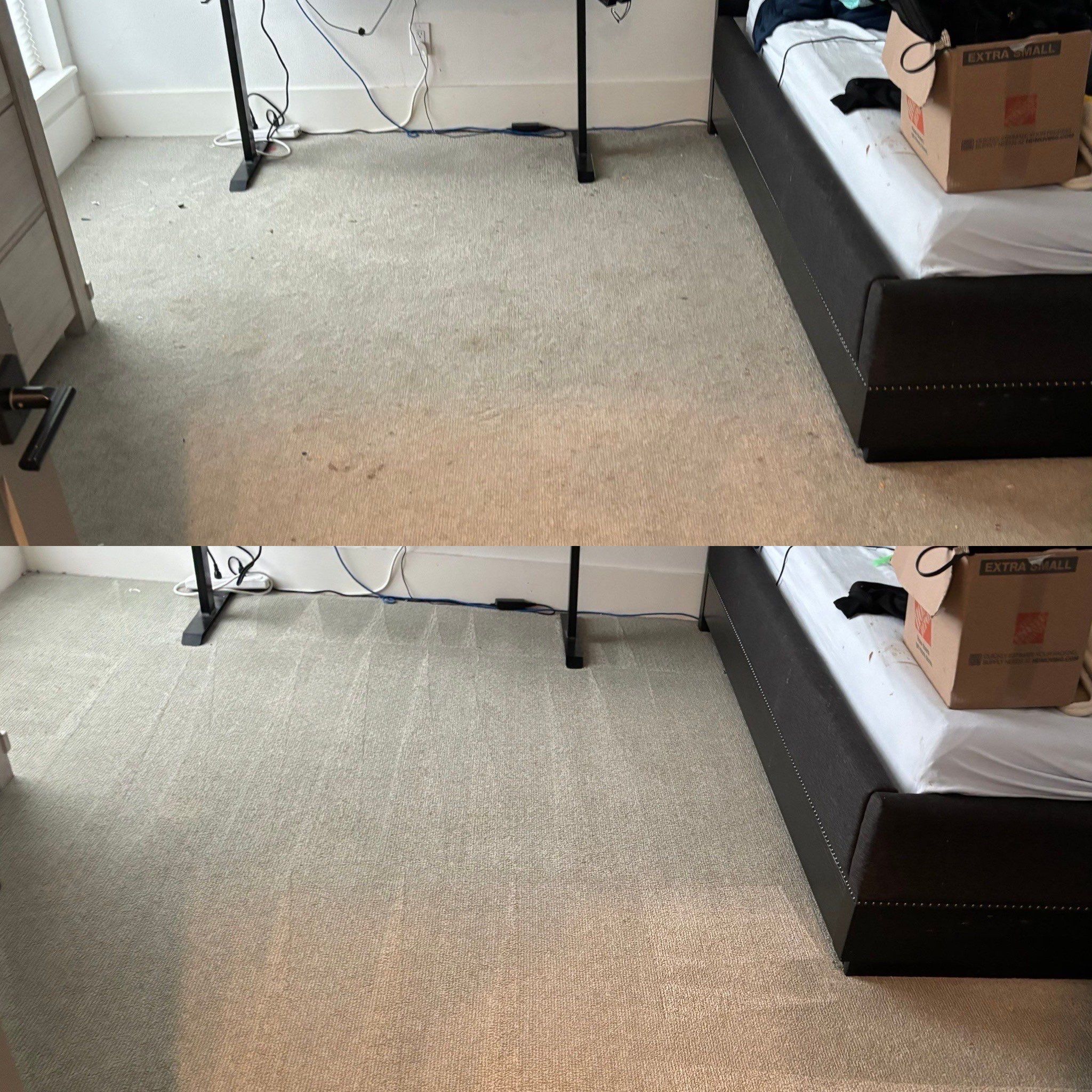 the service shown is deep cleaning of carpet flooring removing dirt and stains improving overall appearance and hygiene