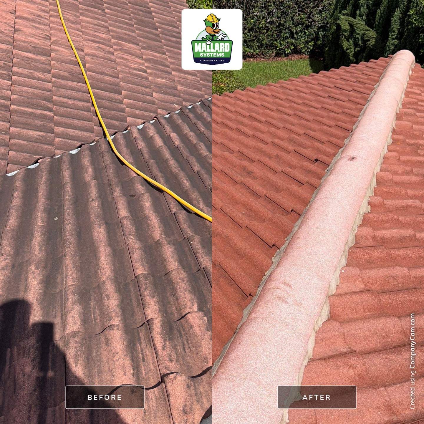 Tile Roof Cleaning in Celebration by Mallard Systems