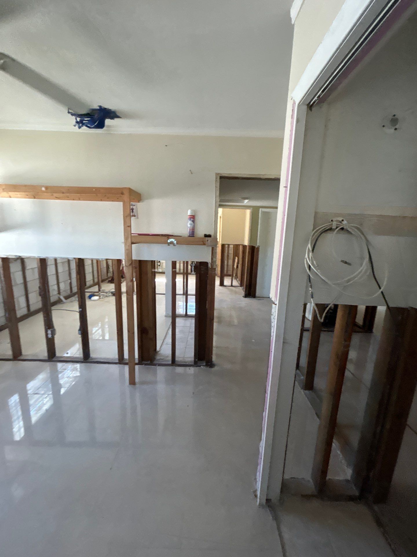 Tampa Mold Removal  by Ampm Restoration Services 
