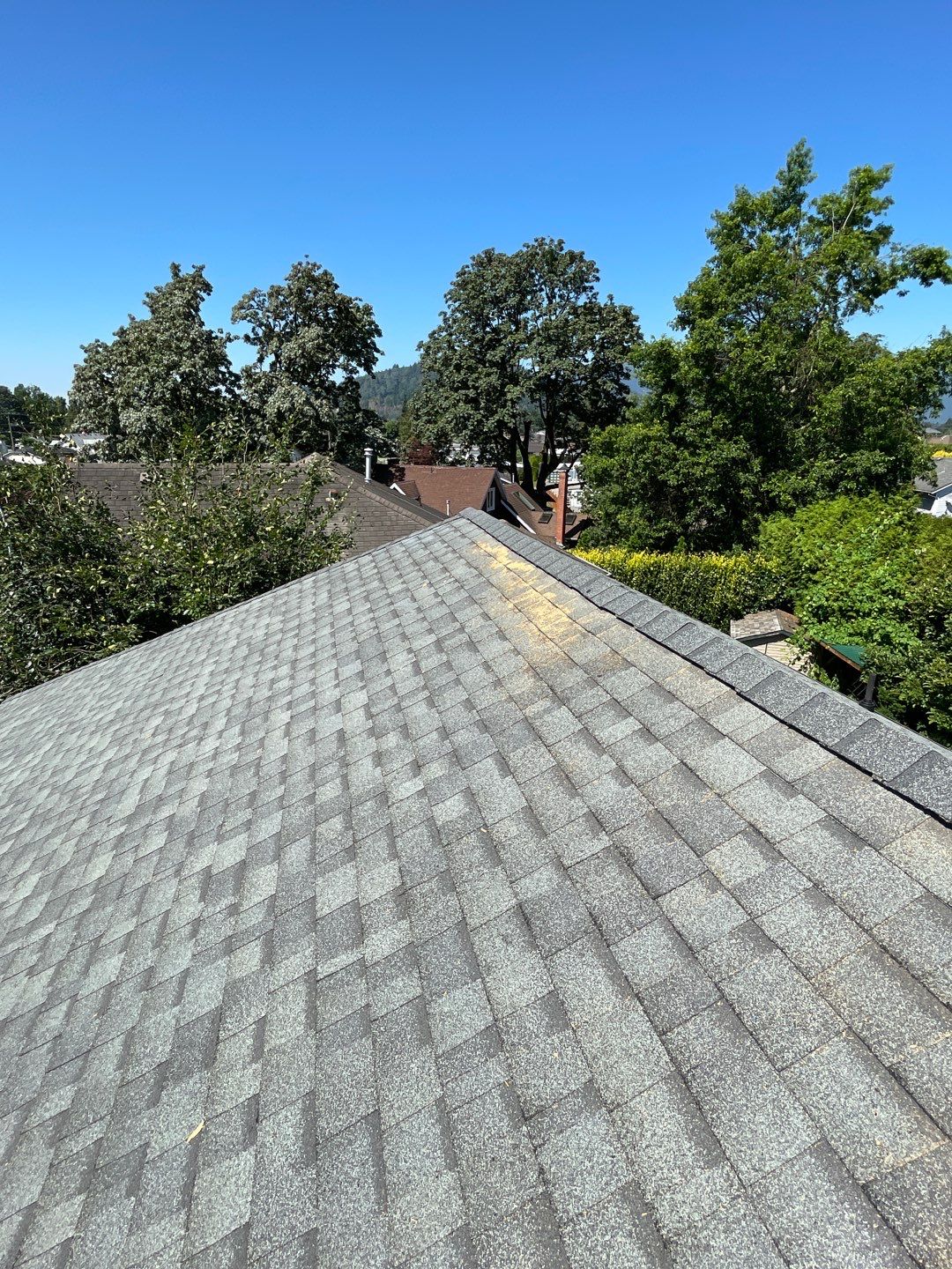 Residential ReRoofing Installation using OC Oakridge shingles by Top Notch Roofing Inc