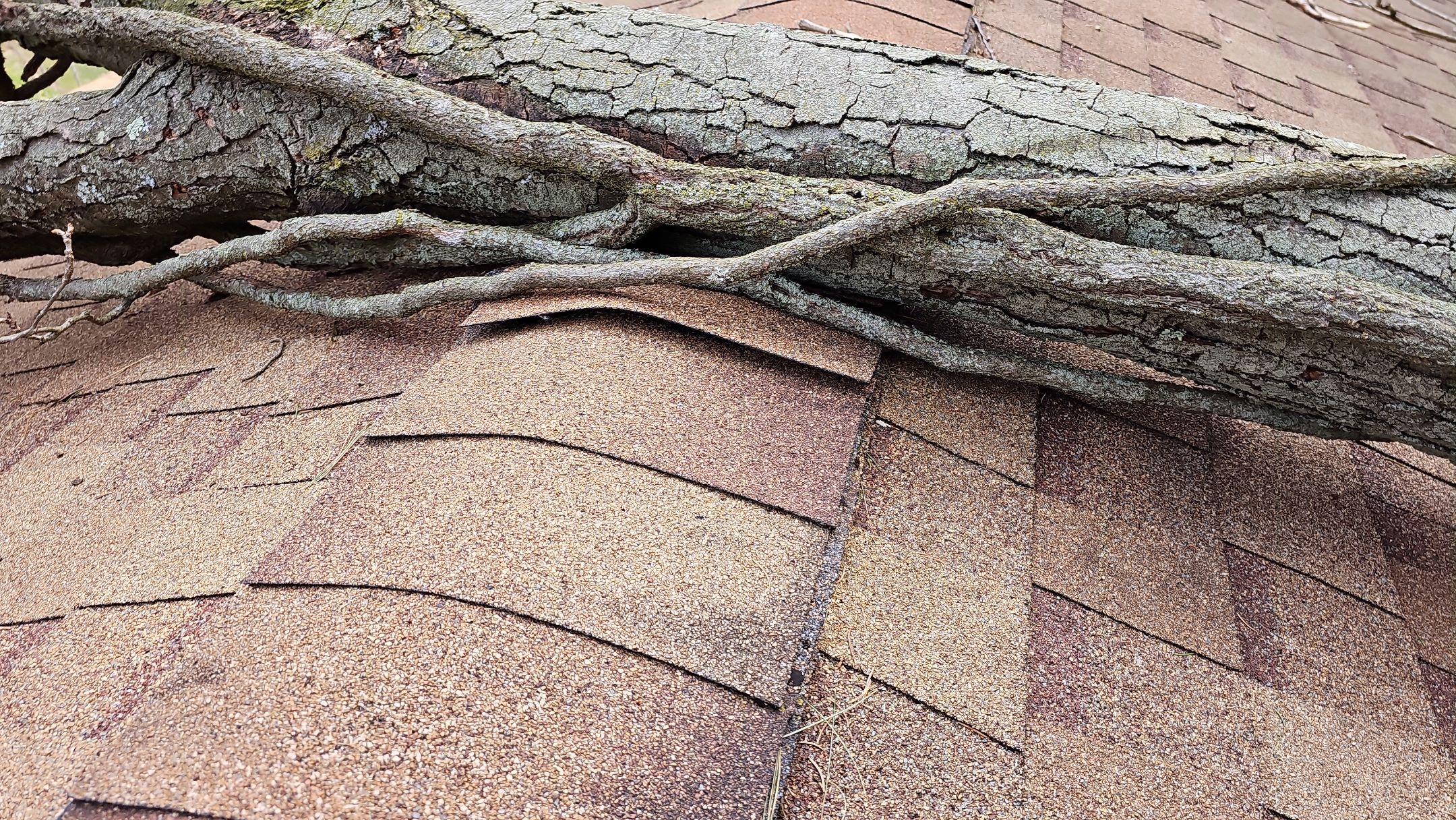 ATLAS PINNACLE COLOR: MORNING HARVEST by Eagle Eye Roofing