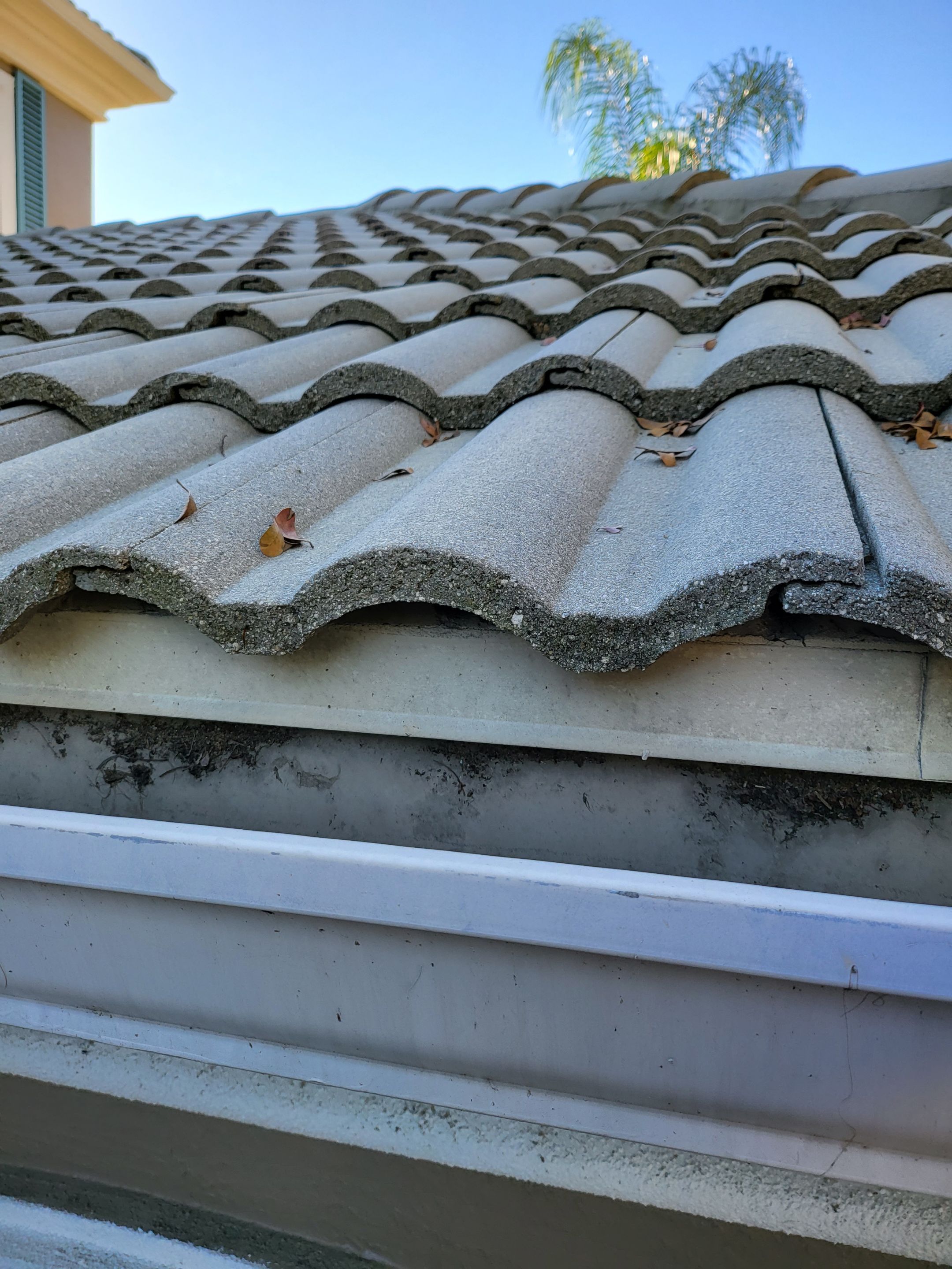 Concrete Tile Roof Repair and Sheathing Replacement in Wellington by Aastro Roofing