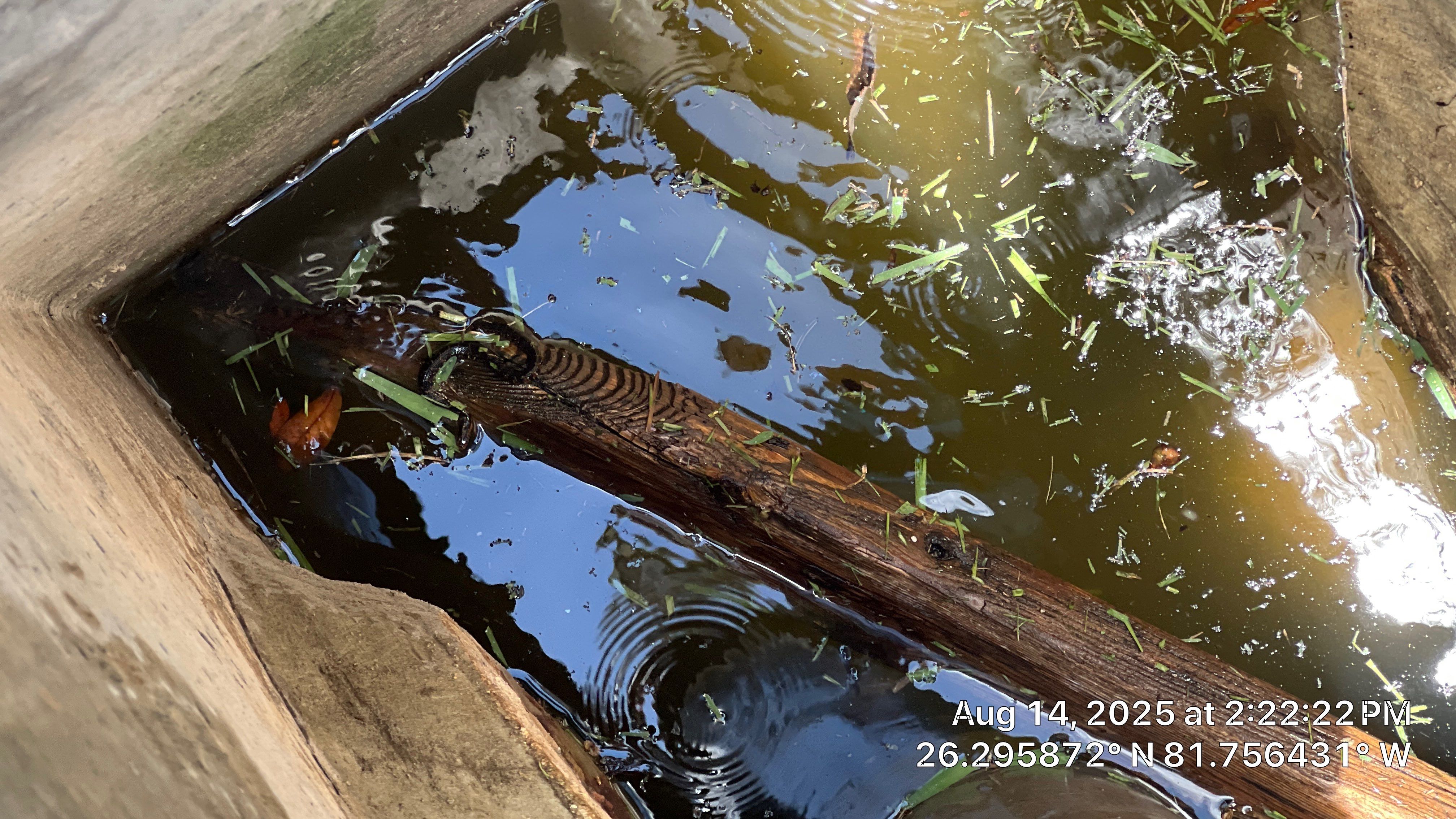 Naples Community Stormwater System Maintenance by Don Mar, Inc. Storm Water Solutions